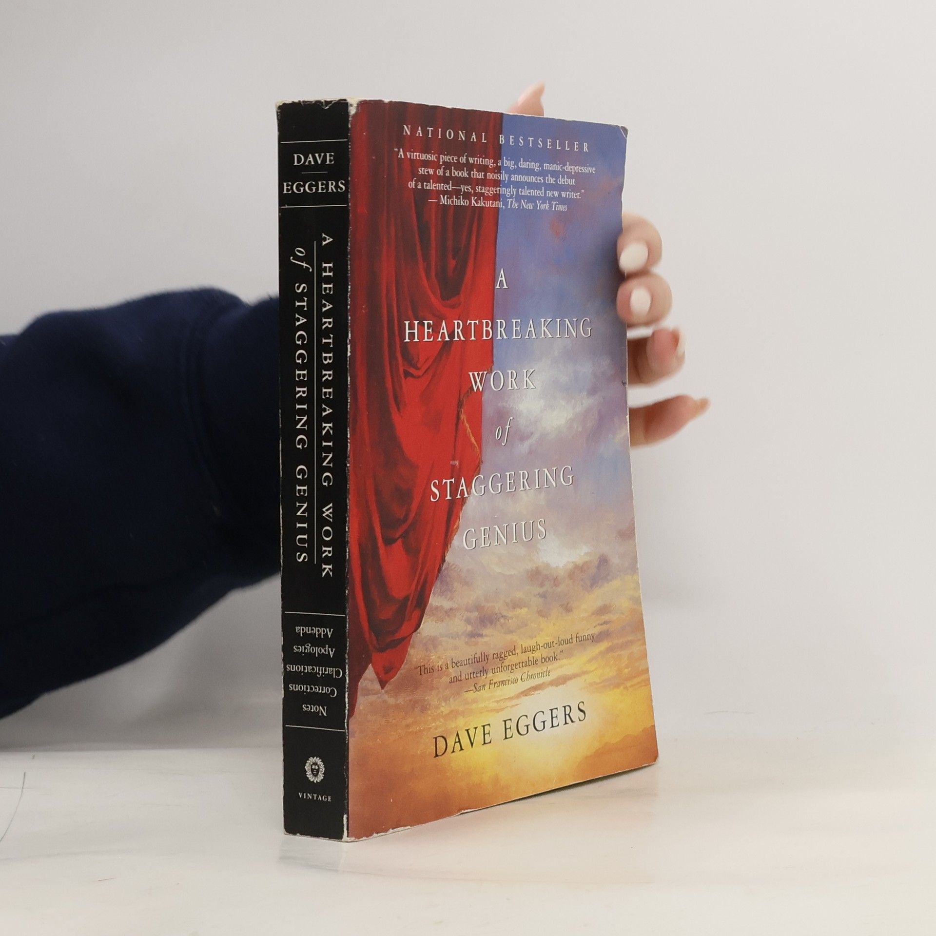 Dave Eggers A heartbreaking work of staggering genius