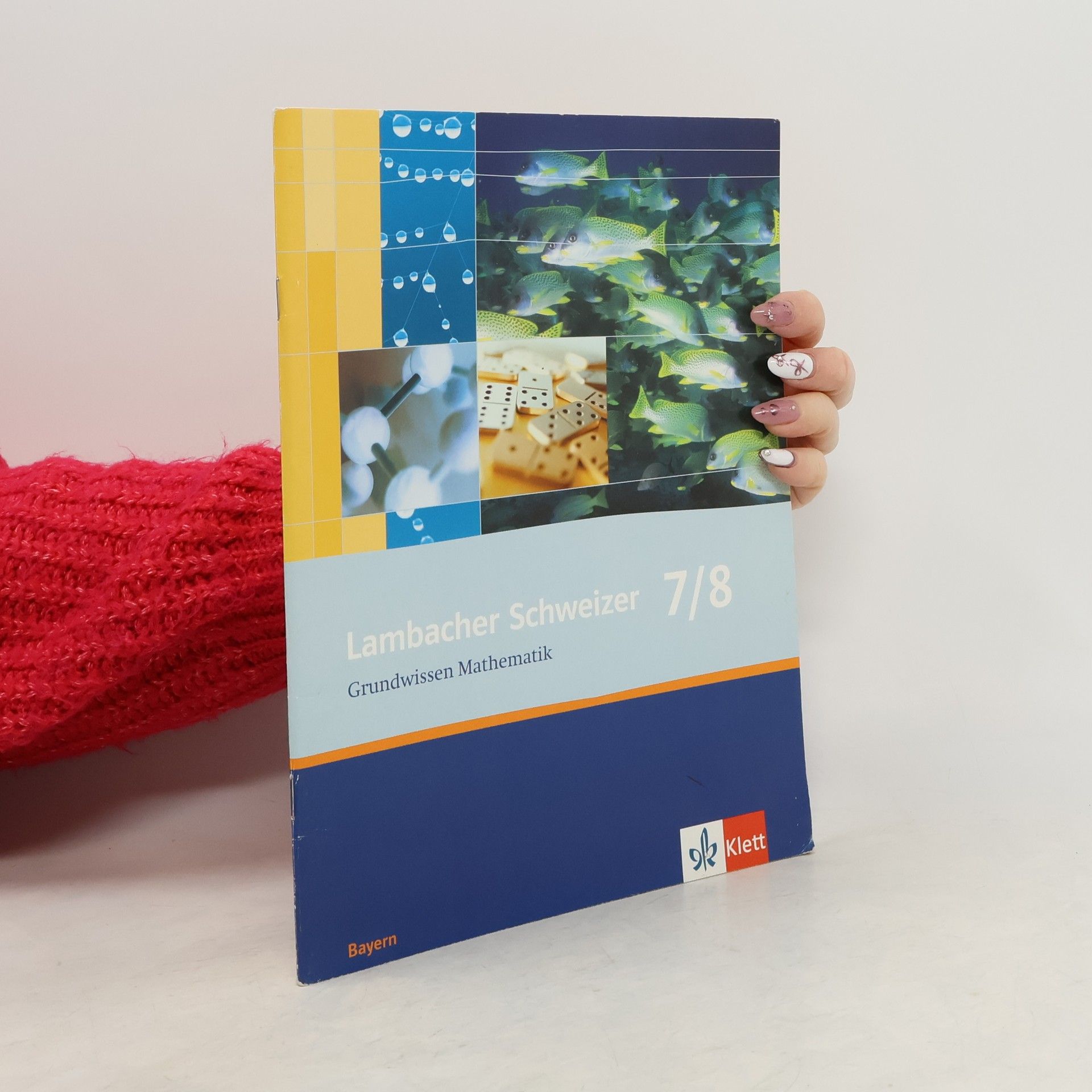 August Schmid Lambacher Schweizer Grundwissen Mathematik 7./8.