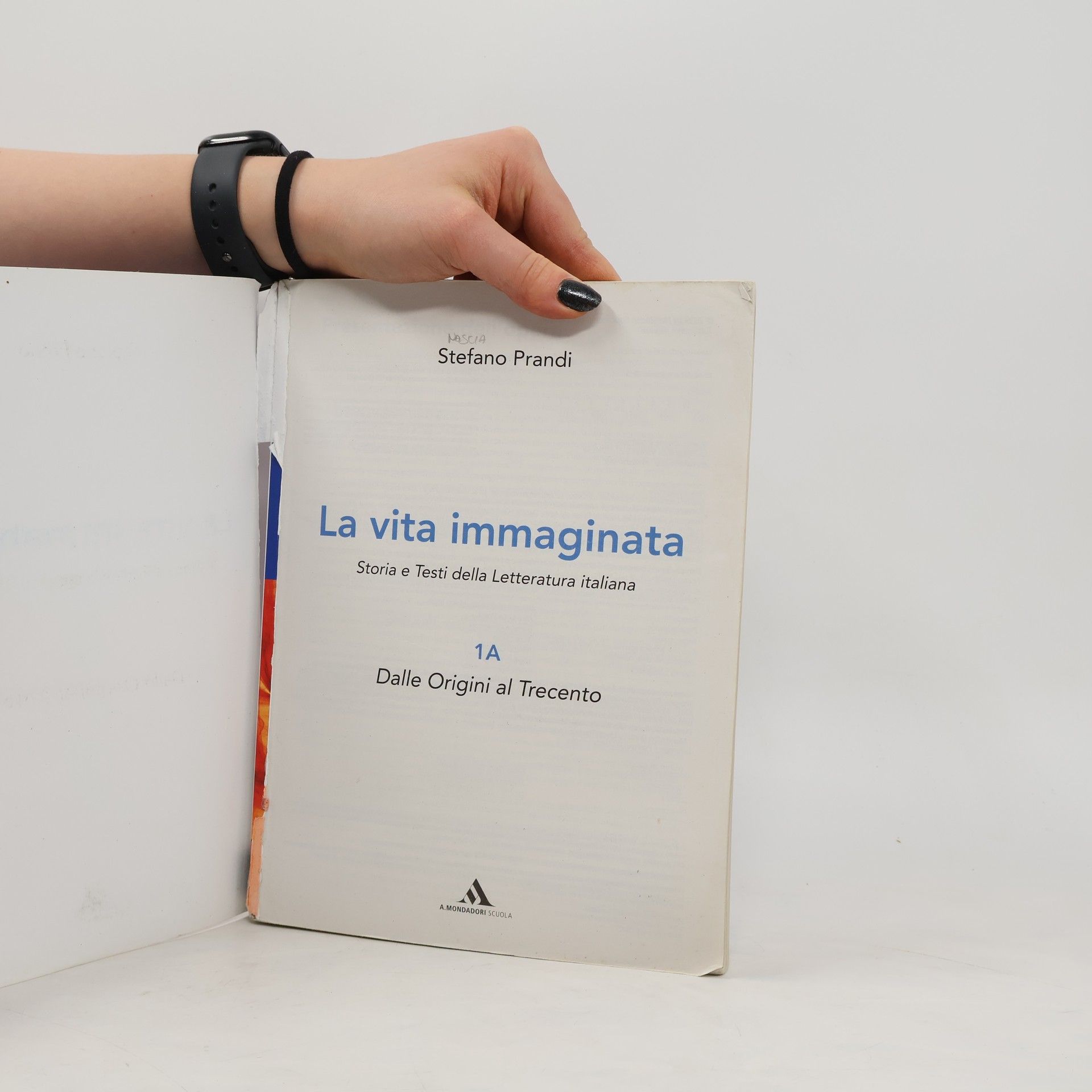 Stefano Prandi La vita immaginata 1A