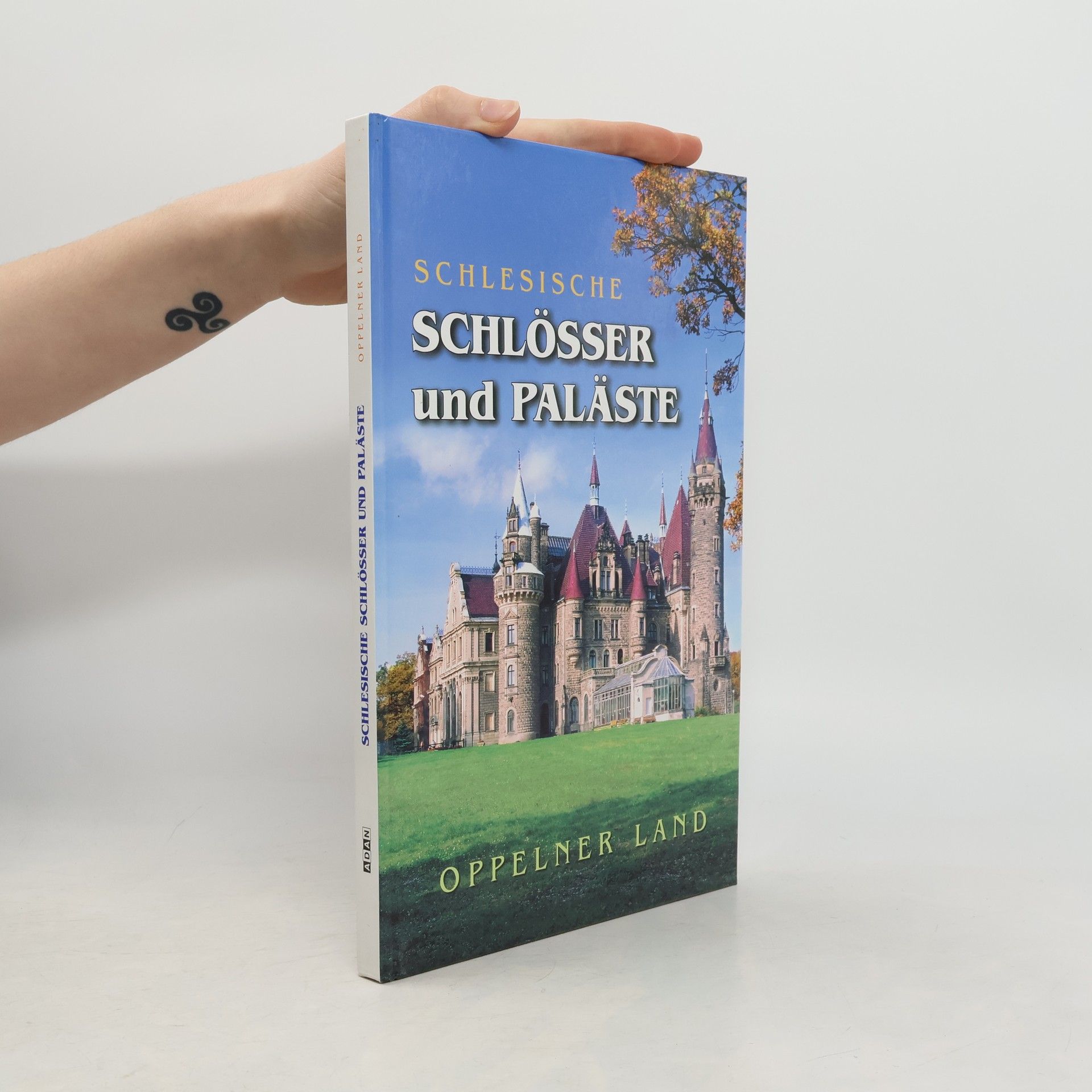 Schlesische Schlösser und Paläste. Oppelner Land