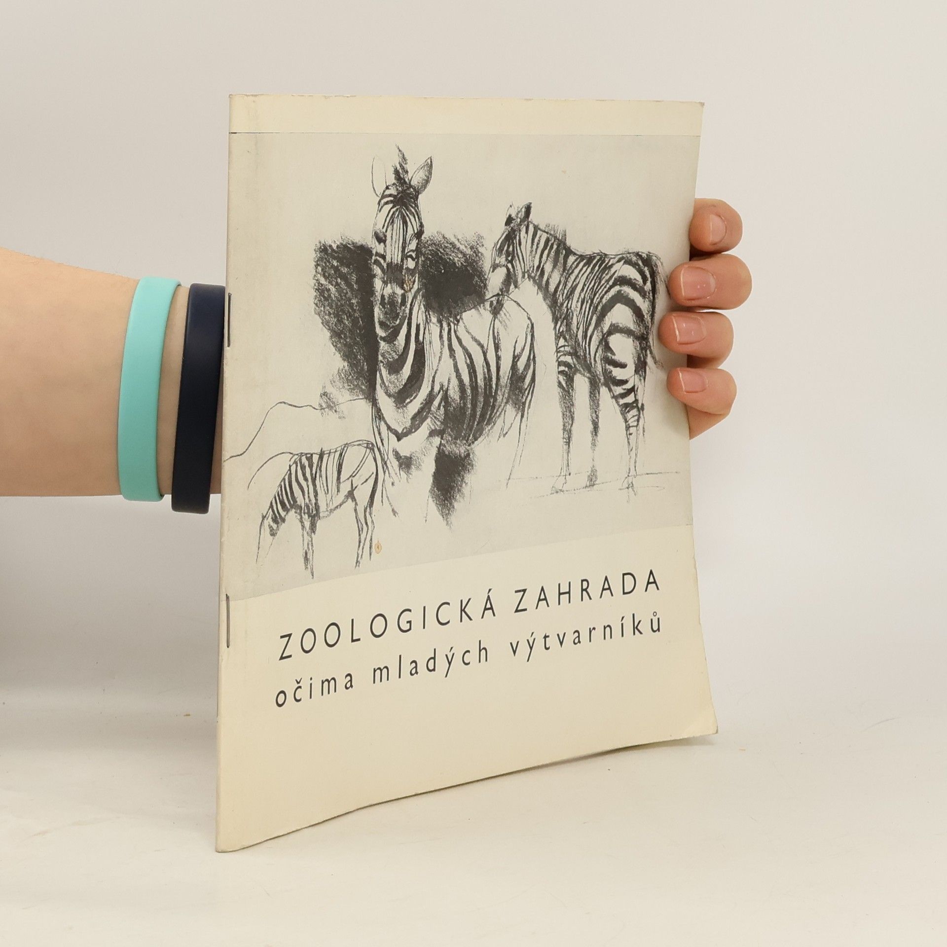 Kolektiv autorů Zoologická zahrada očima malých výtvarníků