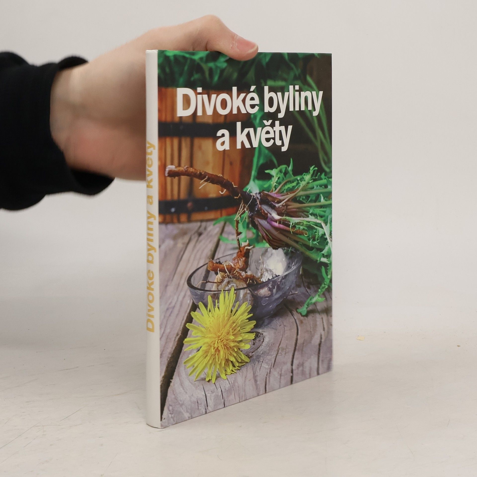 Andrea Malá Divoké byliny a květy