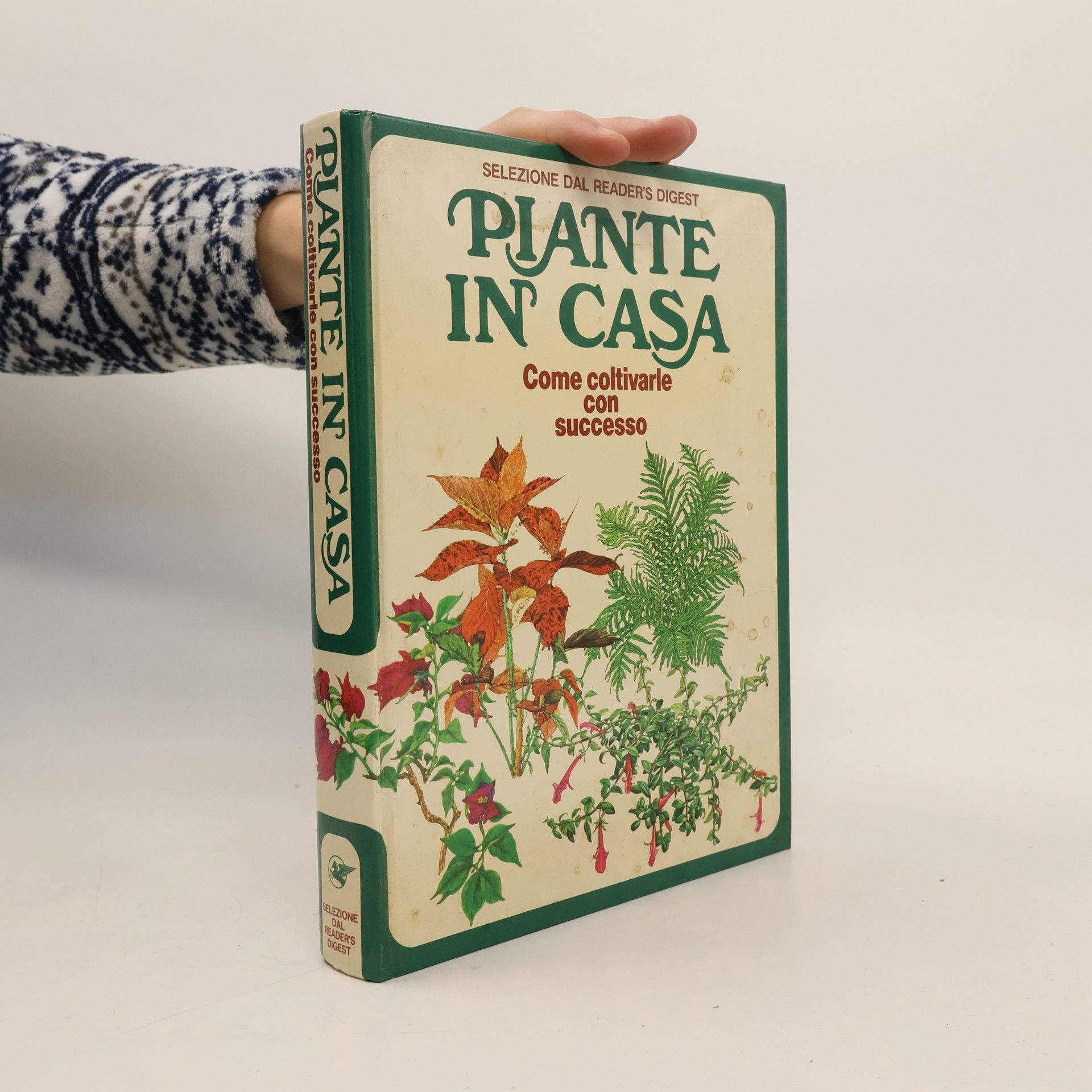 Alessandro Chiusoli Piante in casa