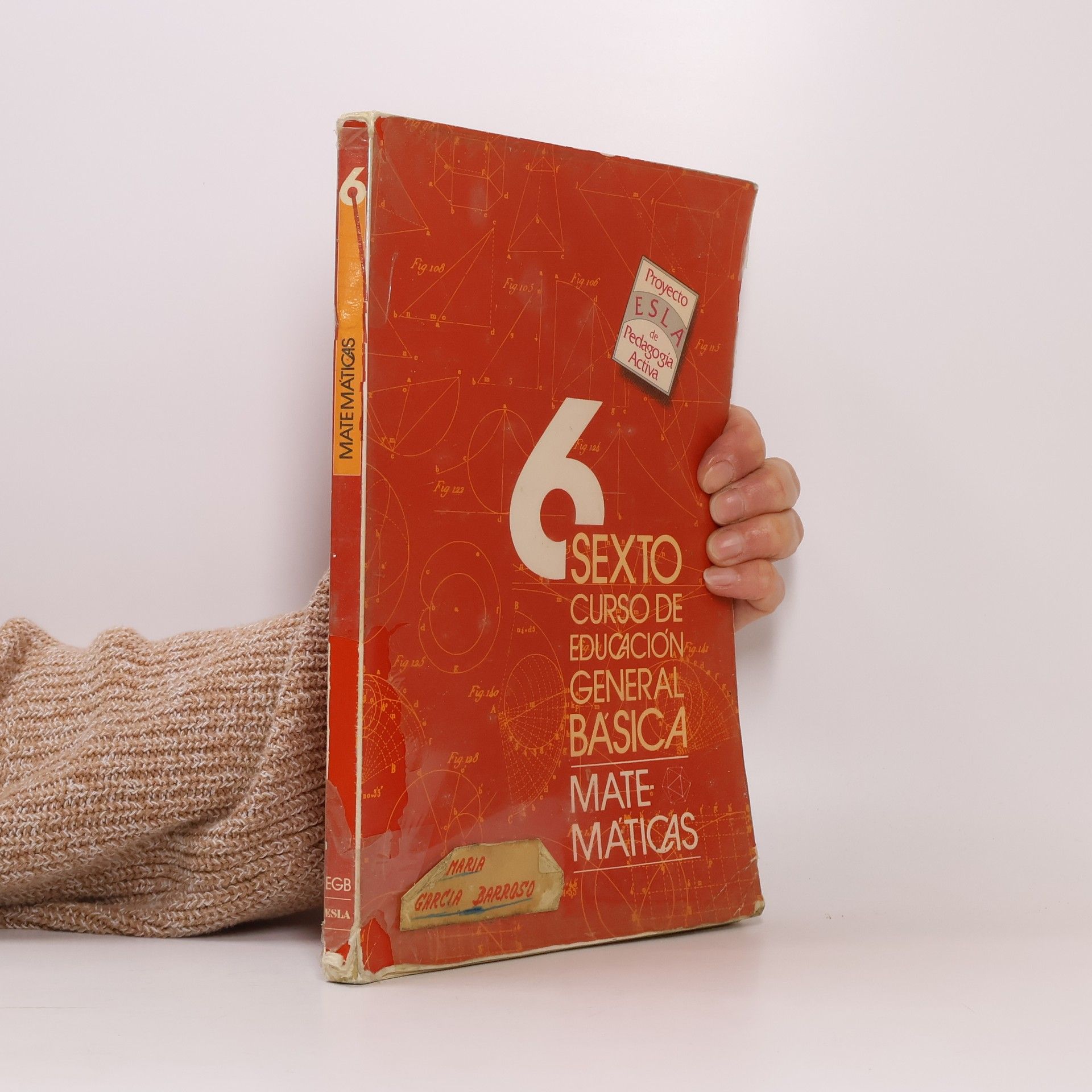 Gregorio Anta Matemáticas 6