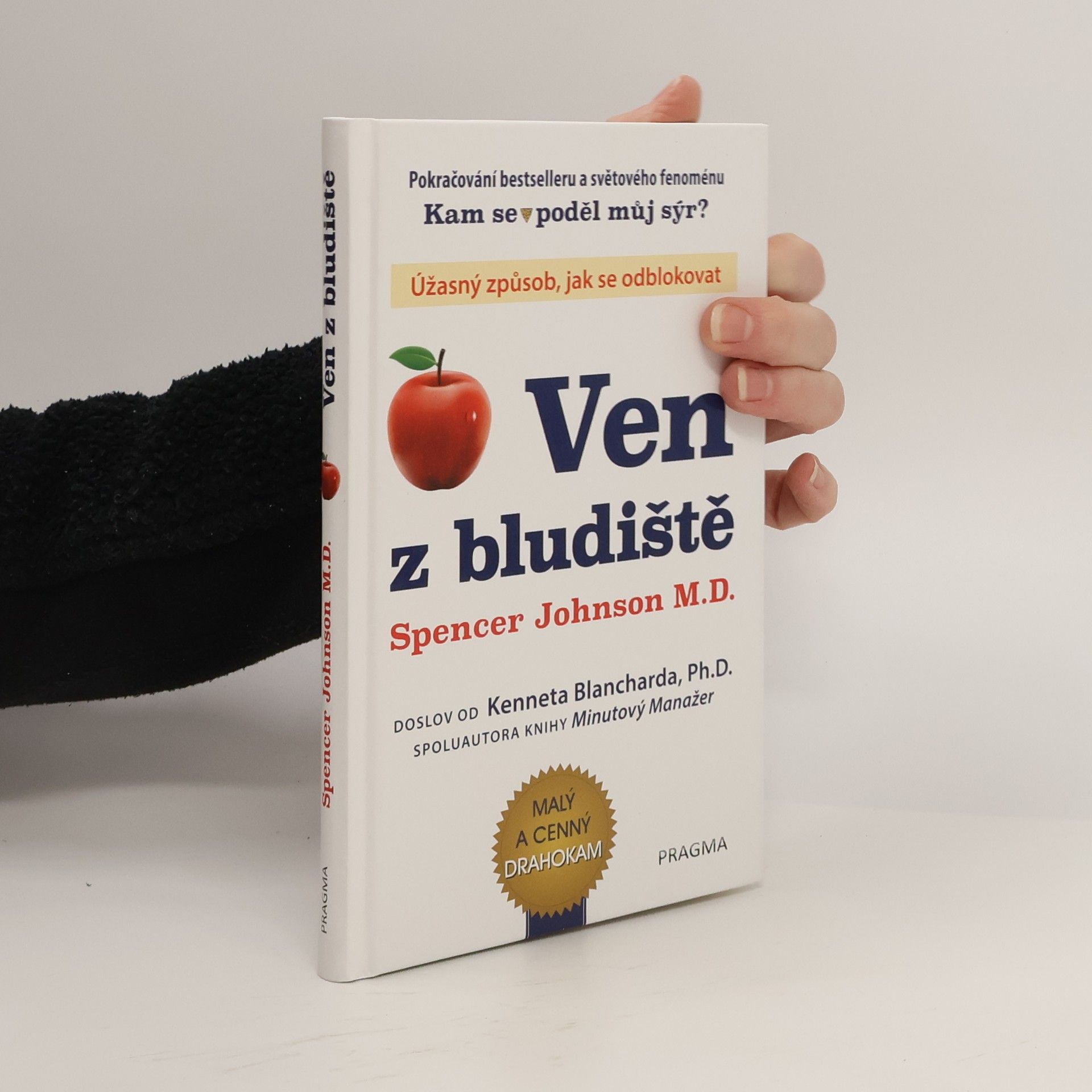 Patrick Spencer Johnson Ven z bludiště