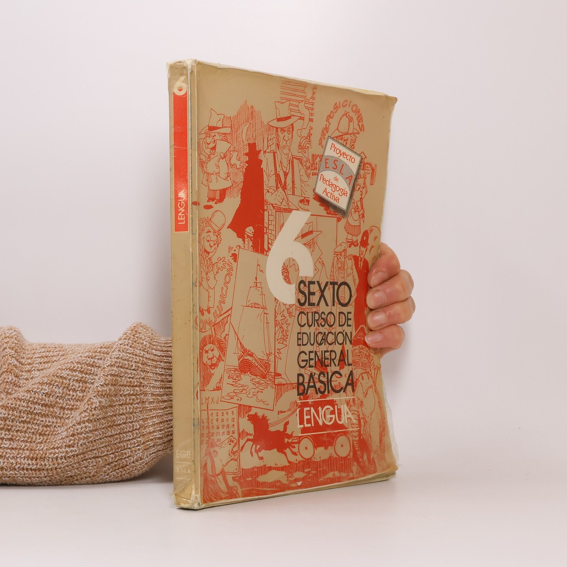 Mercedes Guillem Lengua 6