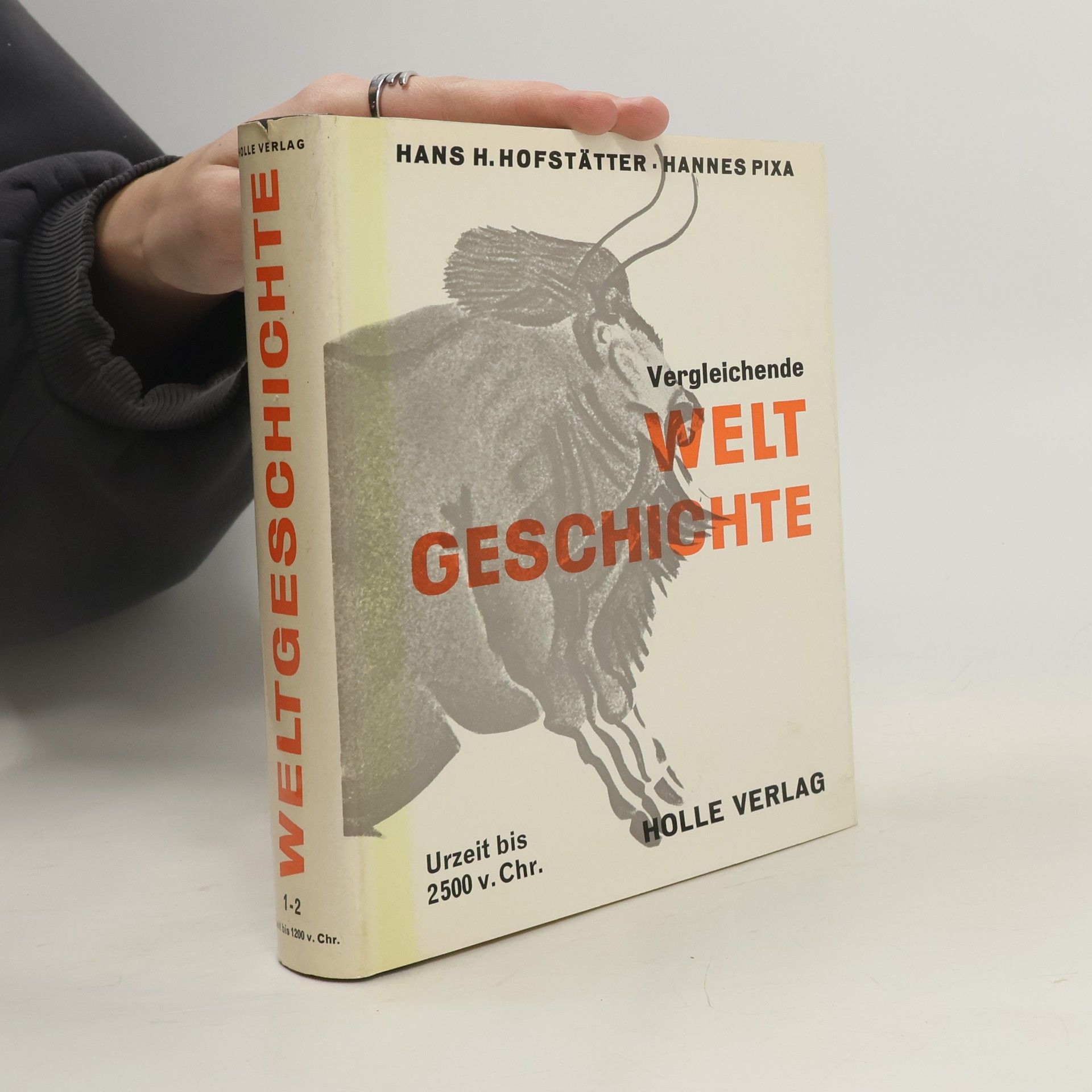 Vergleichende Weltgeschichte Urzeit bis 2500 v. Chr.