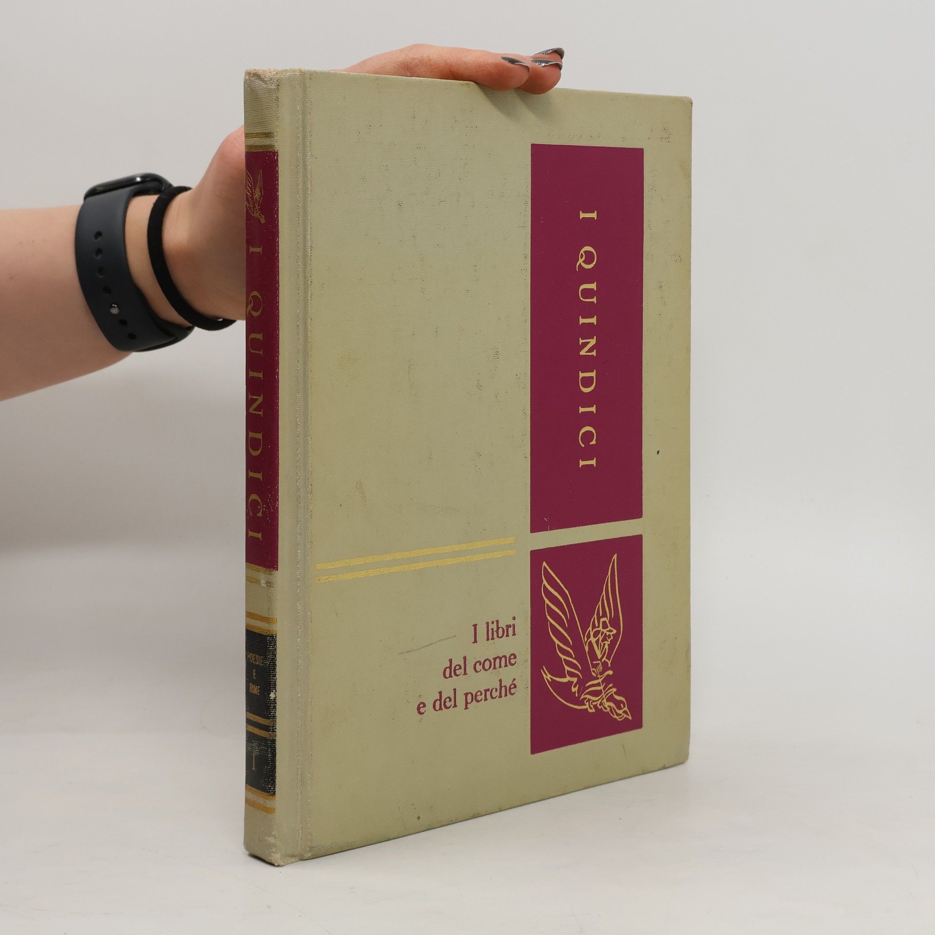 Autorenkollektiv I Quindici 1