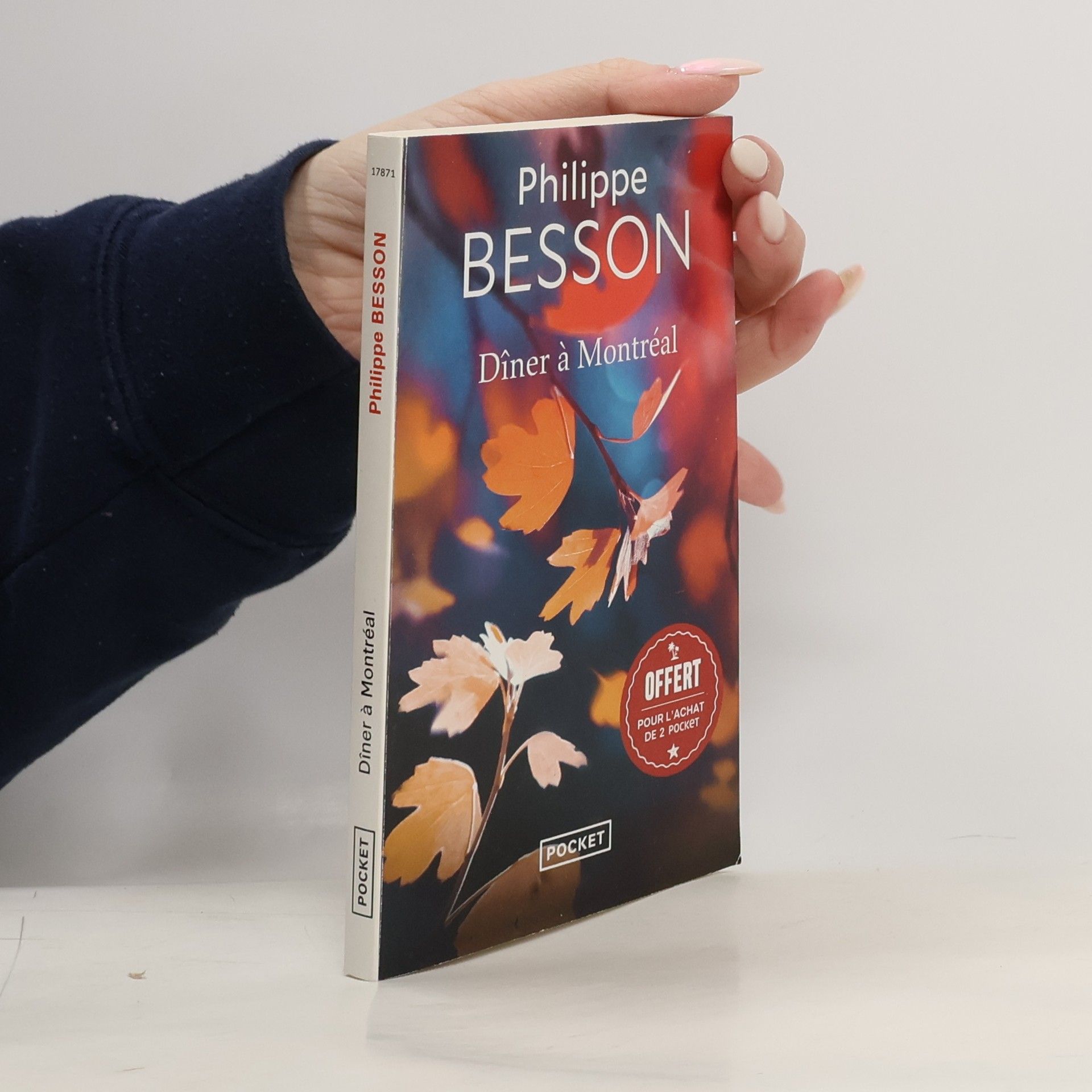 Philippe Besson Diner á Montreal