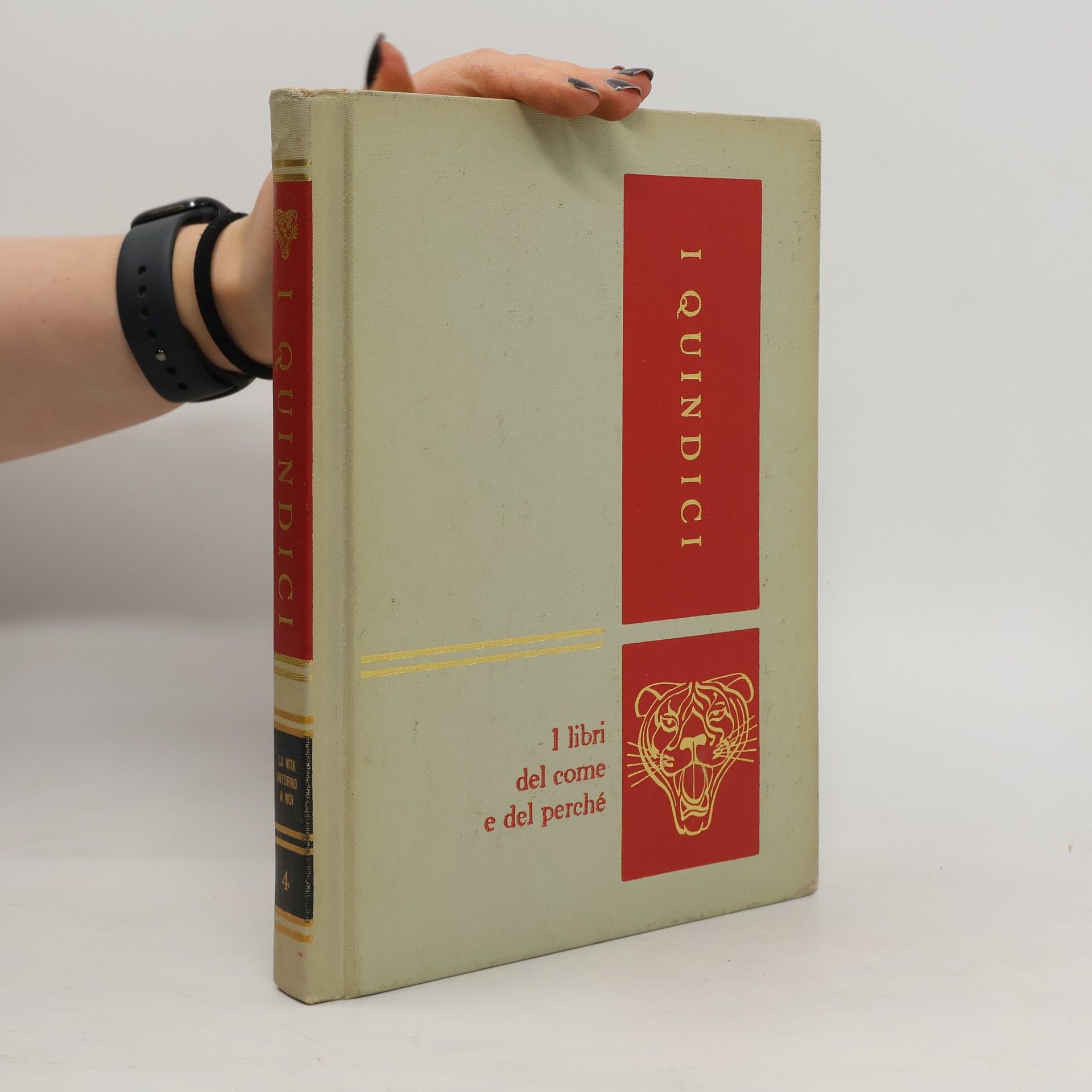 Auteurscollectief I quindici 4