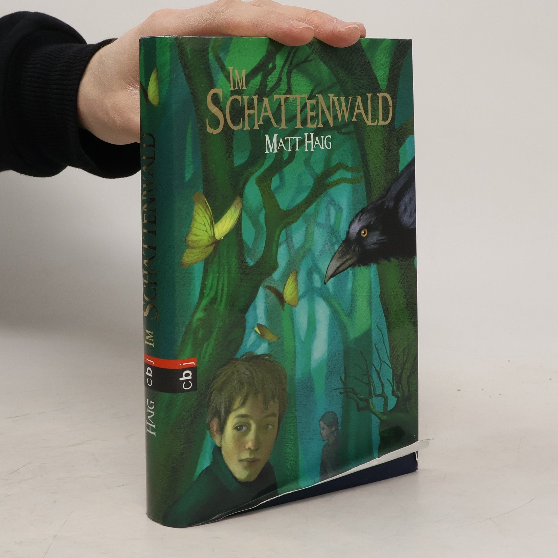 Matt Haig Im Schattenwald