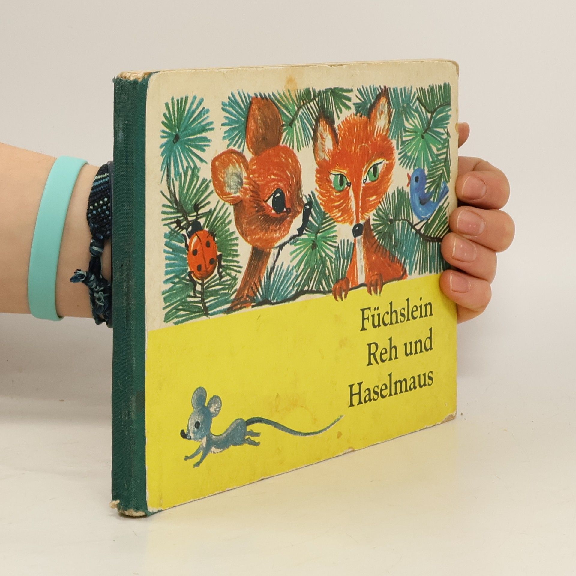 Collectif d'auteurs Füchslein Reh und Haselmaus