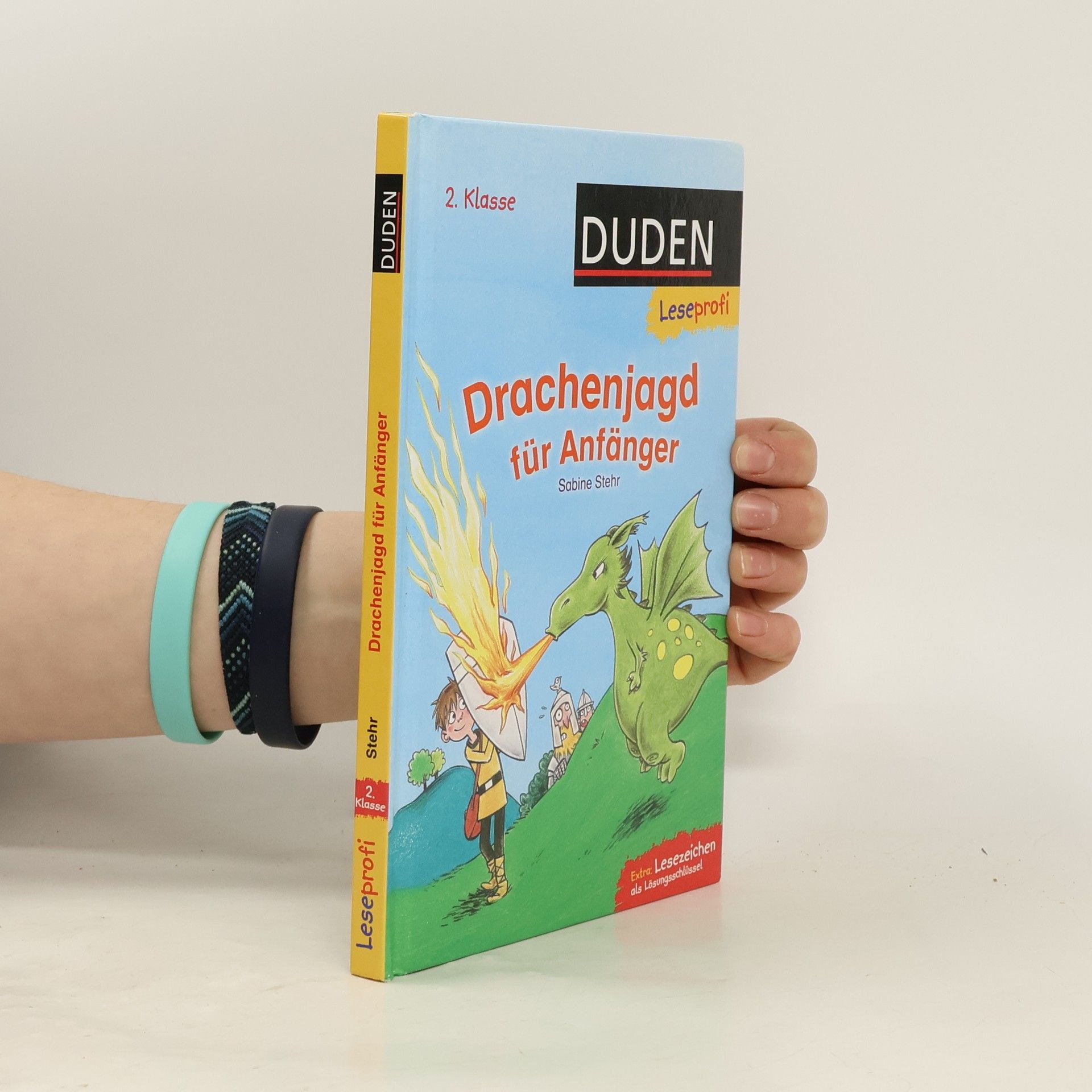 Sabine Stehr Drachenjagd für Anfänger