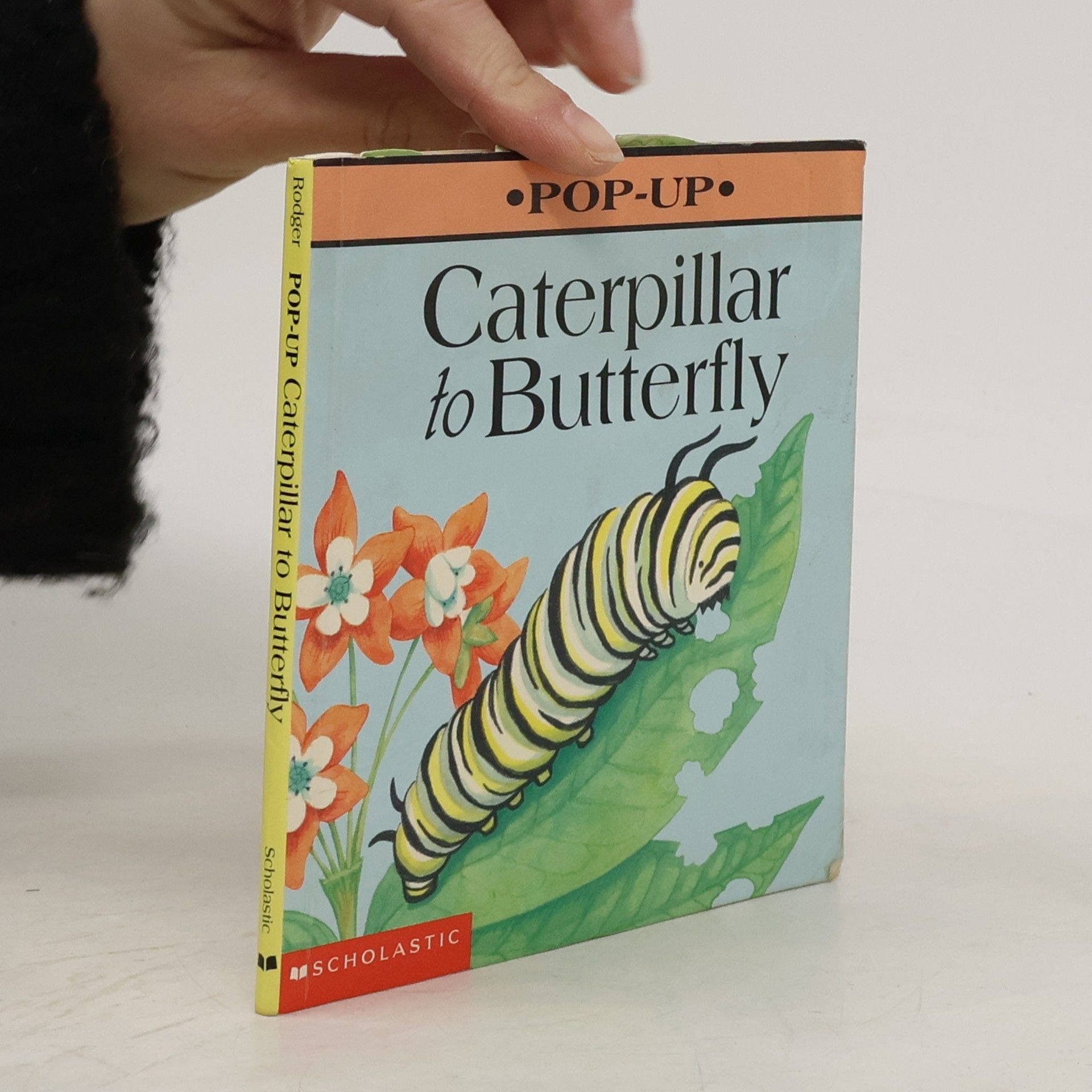 Elizabeth B. Rodger Caterpillar to Butterfly