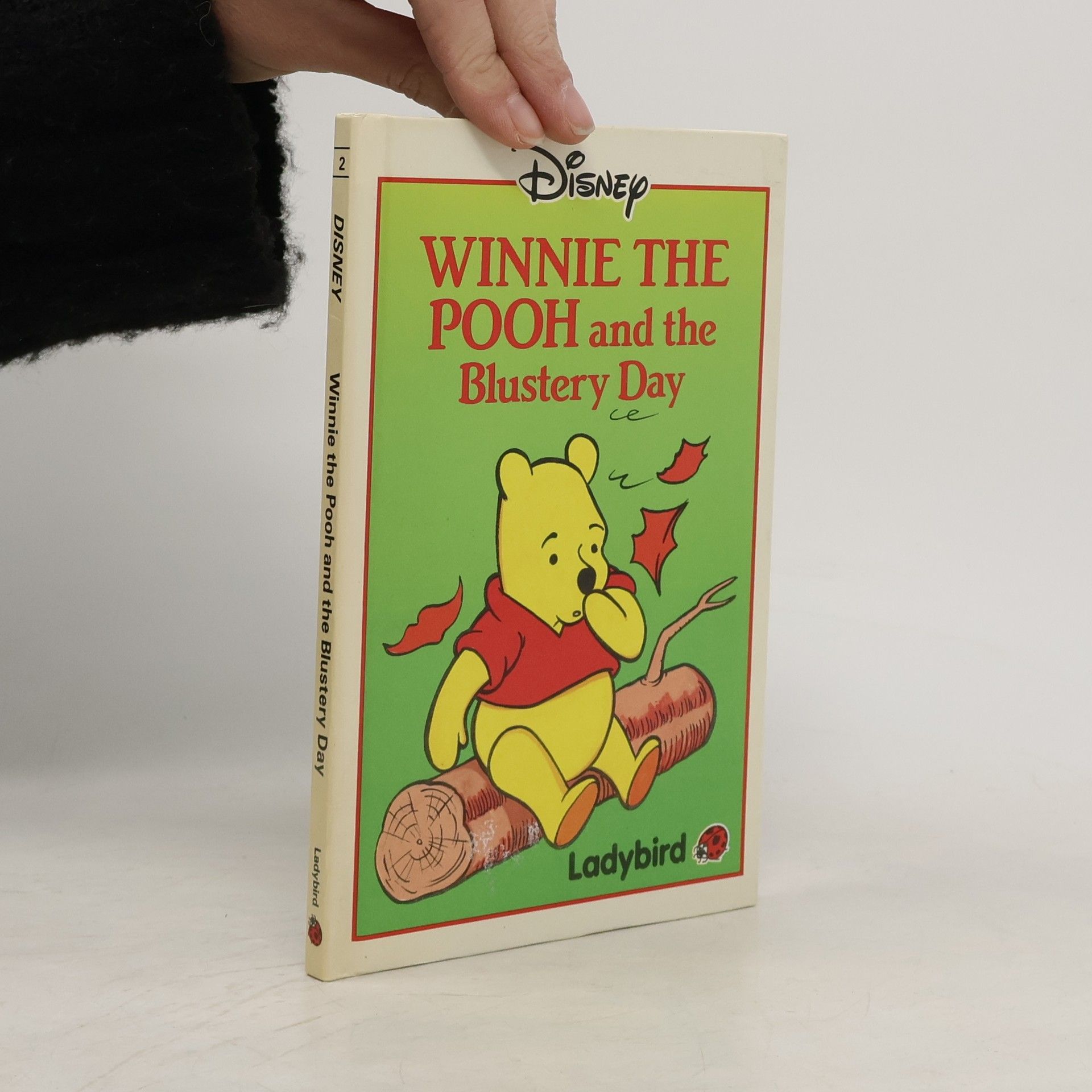 Walt Disney Winnie the Pooh and the Blustery Day