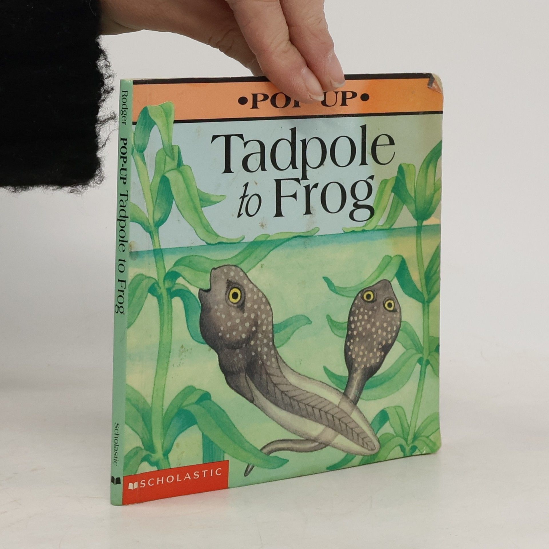 Elizabeth B. Rodger Tadpole to Frog