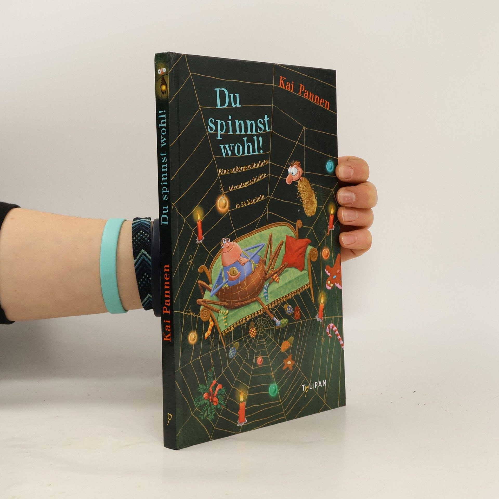 Kai Pannen Du spinnst wohl!