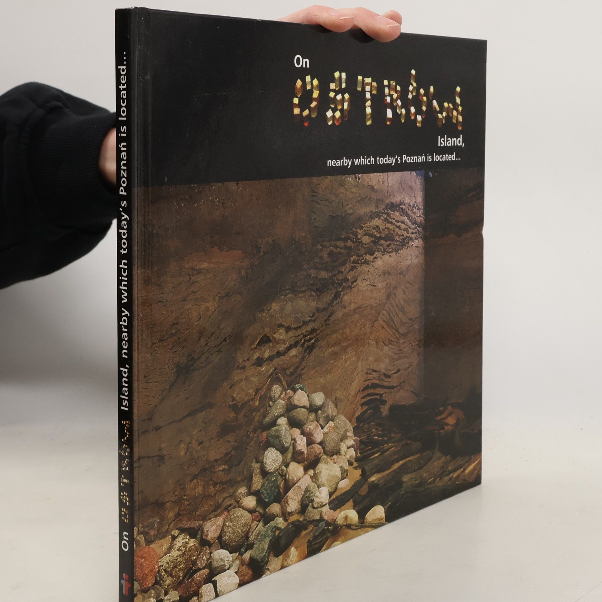 Hanna Kóčka-Krenz On Ostrow Island, Nearby which Today's Poznan is Located--