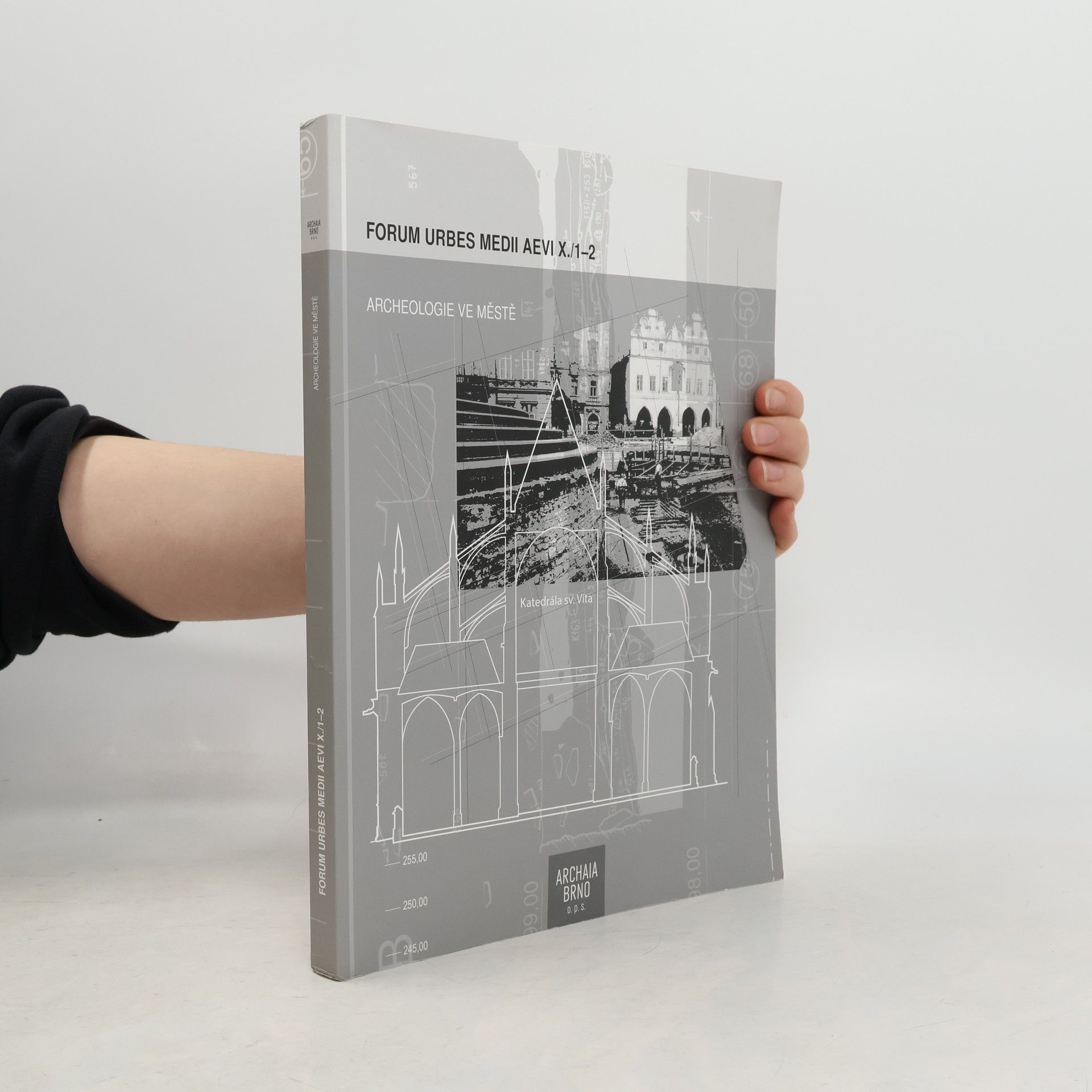 Forum Urbes Medii Aevi - X./1-2: Archeologie ve městě