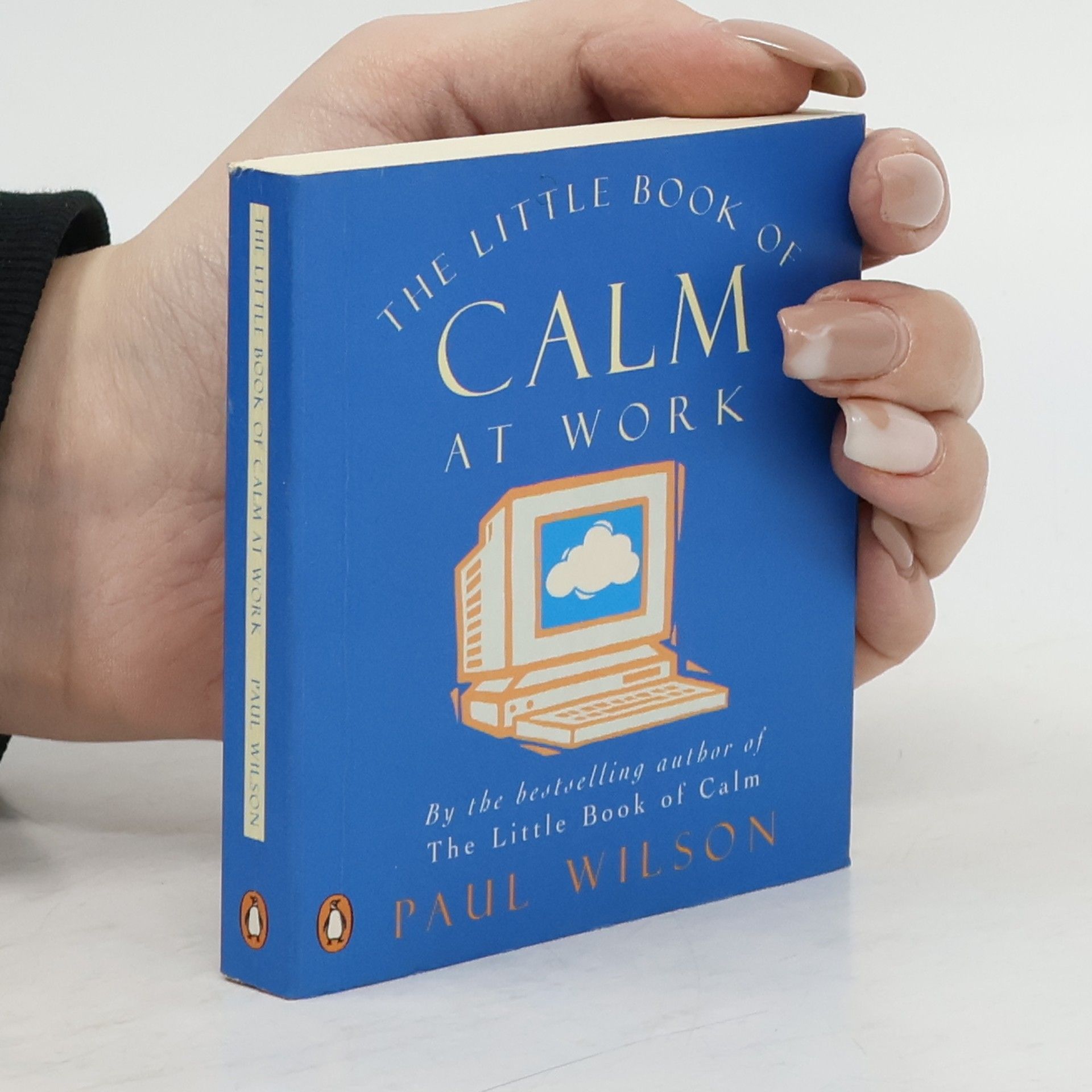 Paul Wilson The Little Book Of Calm At Work