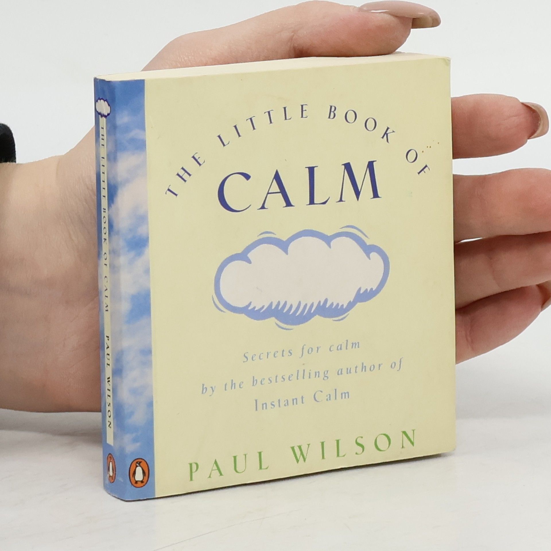 Paul Wilson The Little Book of Calm
