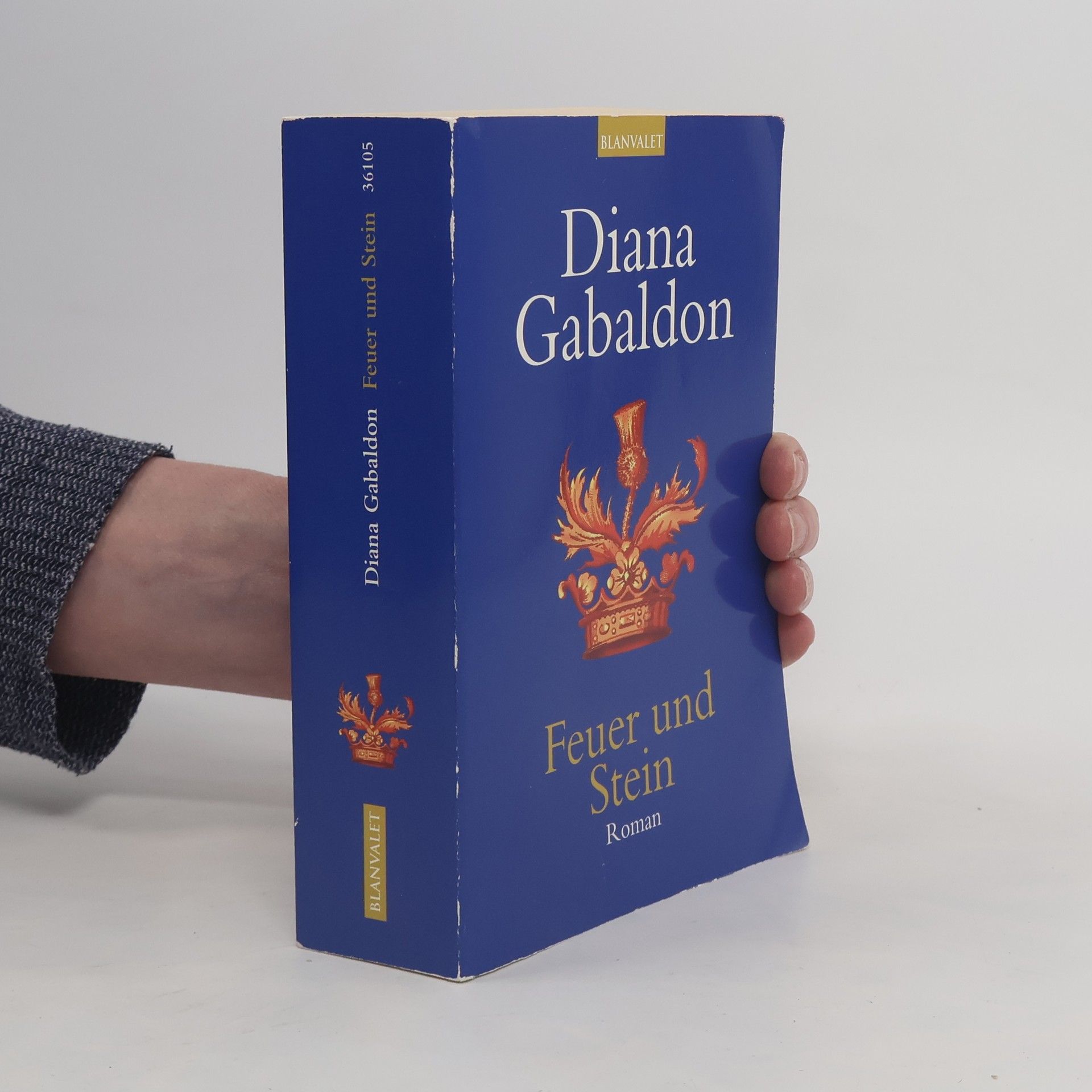 Diana Gabaldon Feuer und Stein