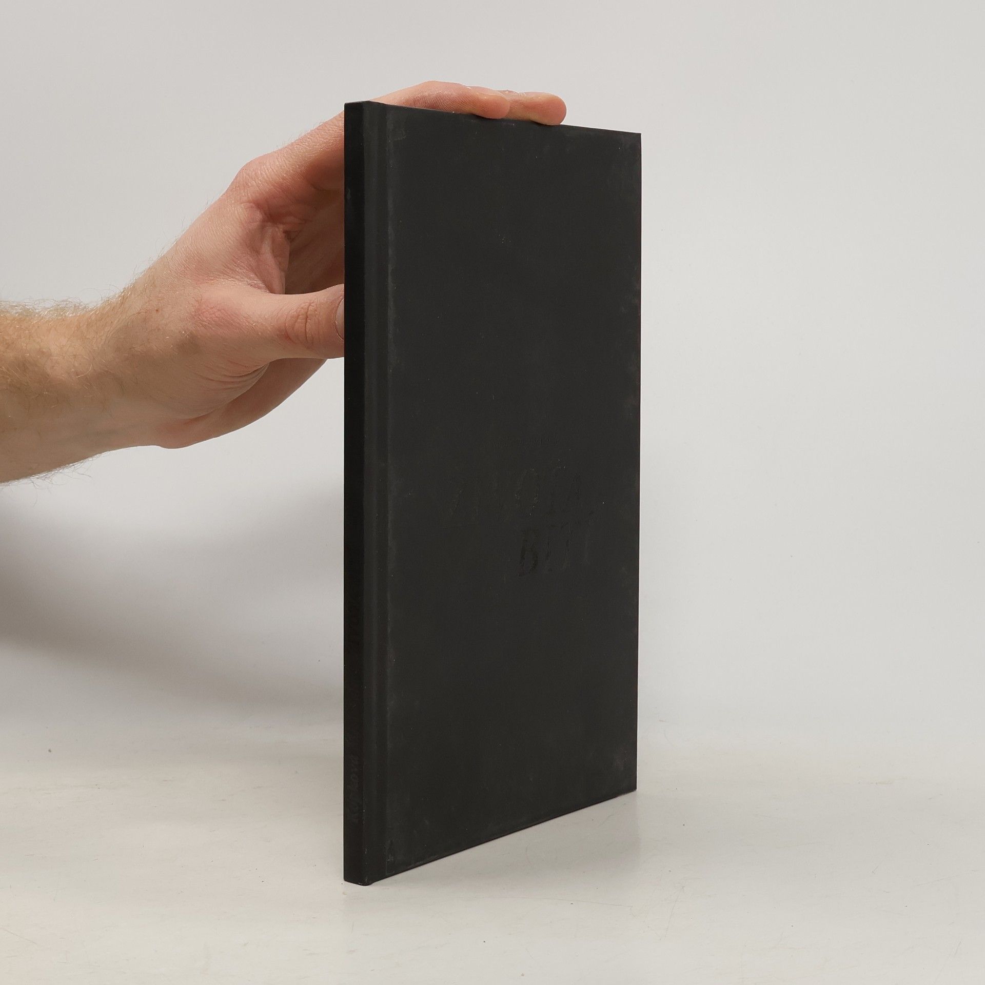 Michaela Kopková Života bití