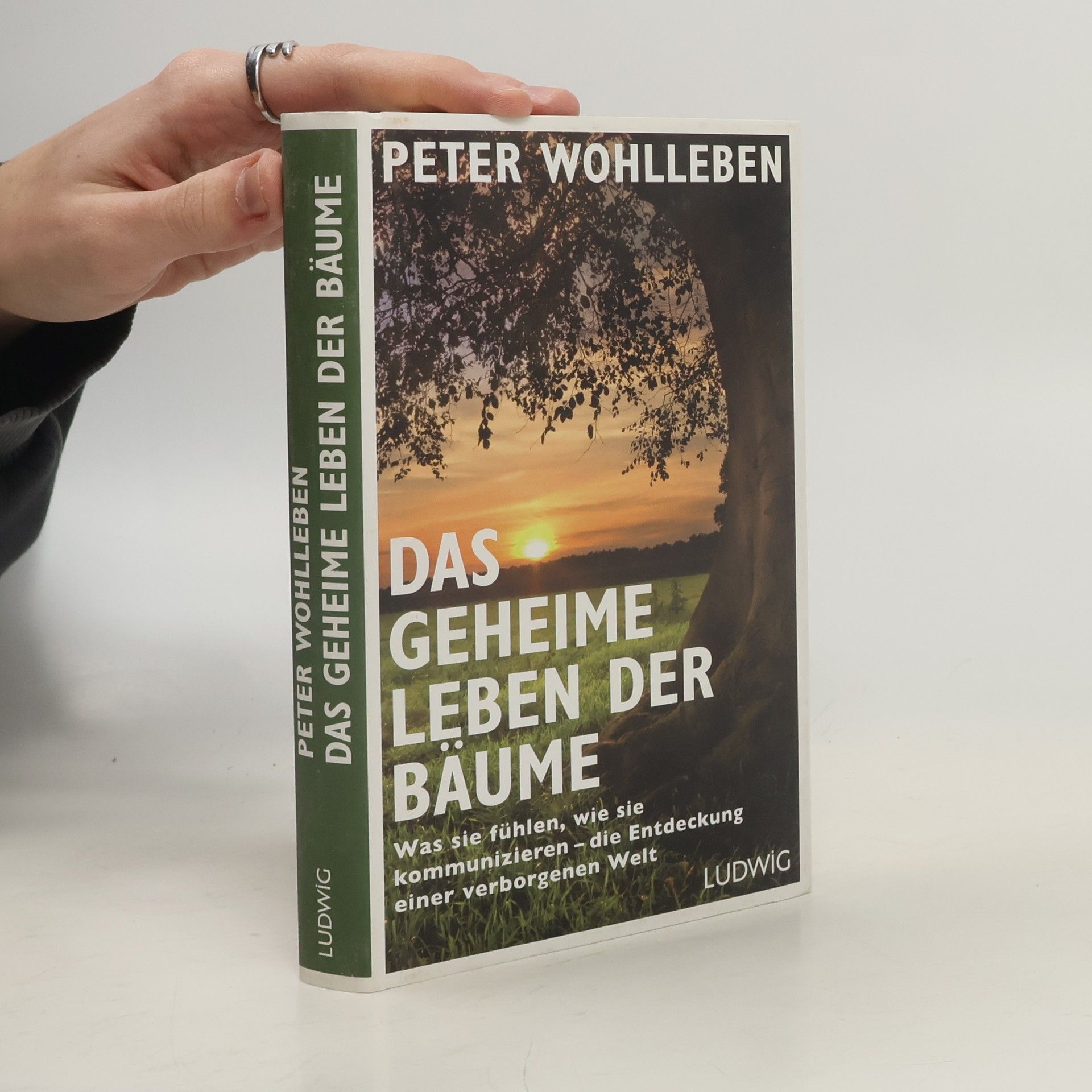 Peter Wohlleben Das geheime Leben der Bäume
