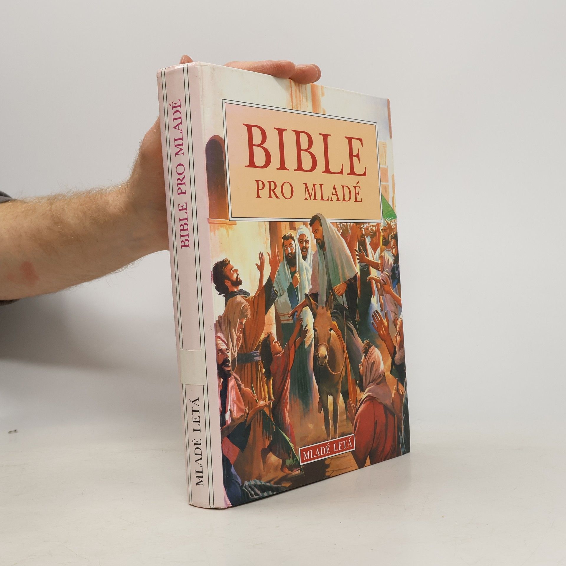 Autorenkollektiv Bible pro mladé