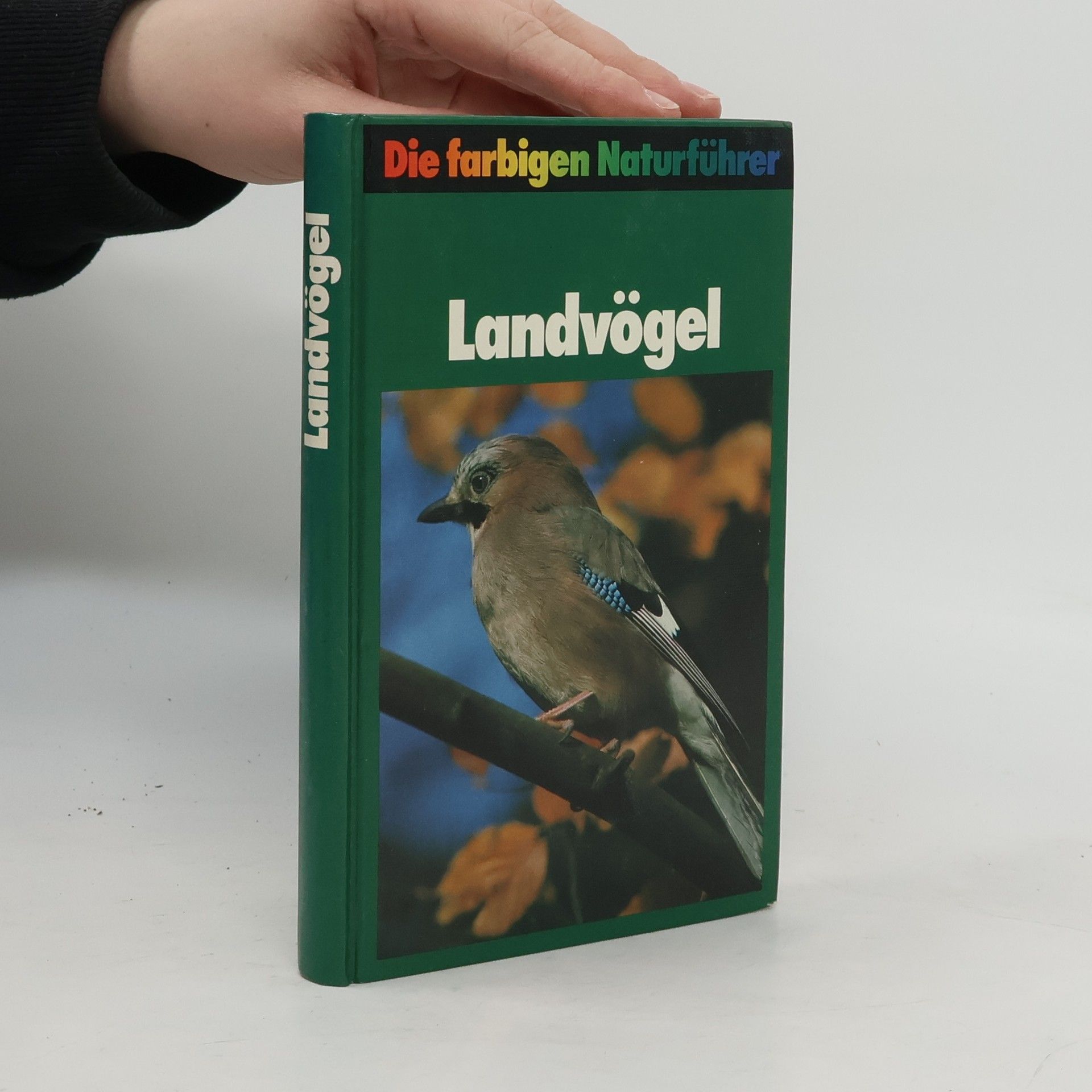 Autorenkollektiv Landvögel