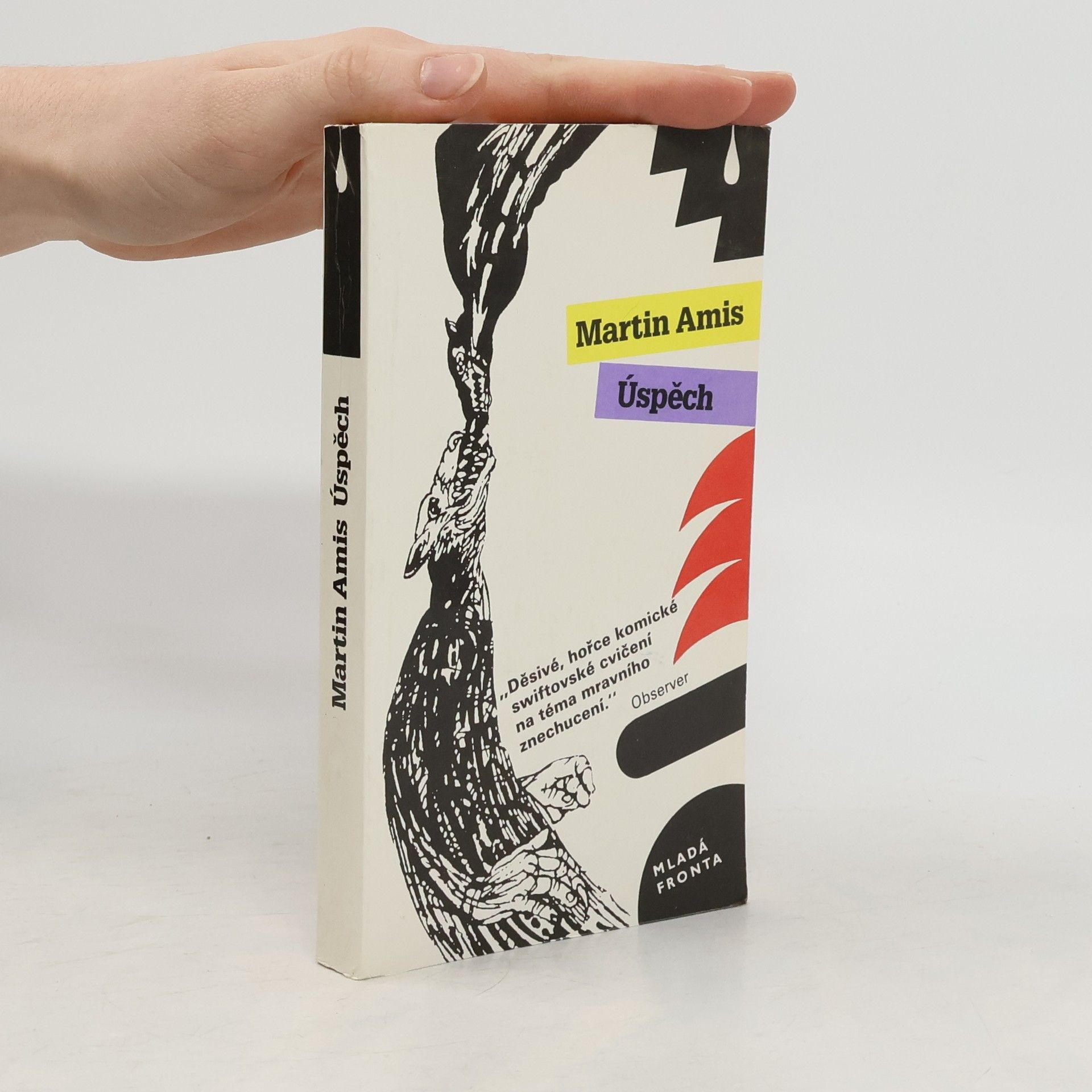 Martin Amis Úspěch