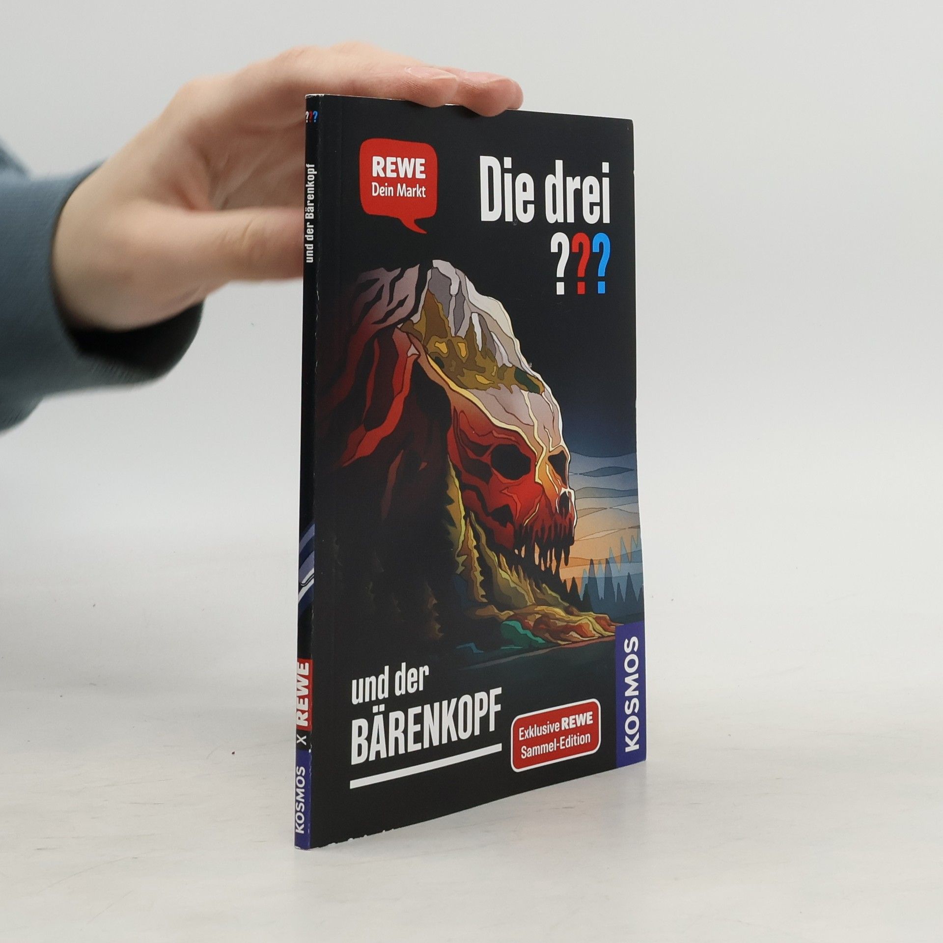 Andreas Ruch Die drei ??? und der Bärenkopf