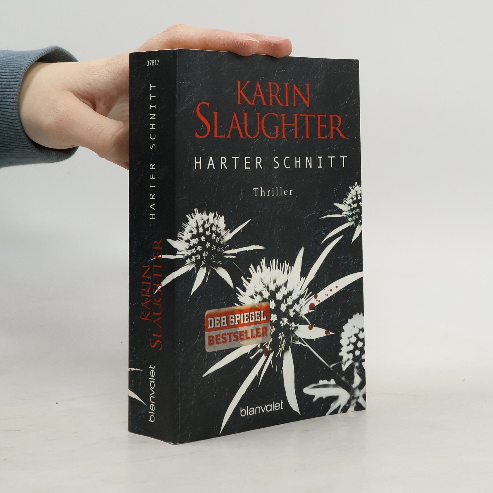 Karin Slaughter Harter Schnitt