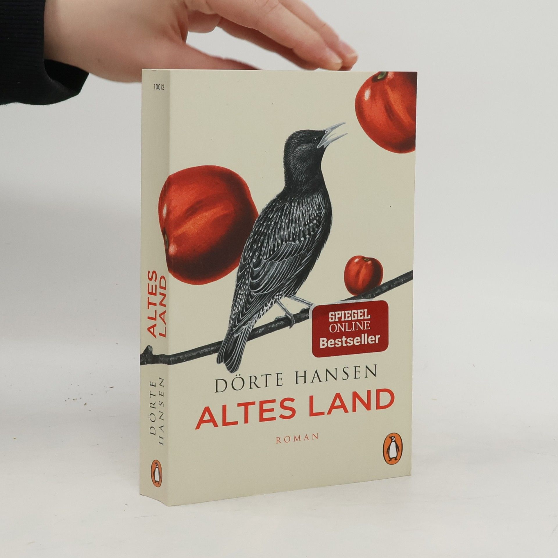 Dörte Hansen Altes Land