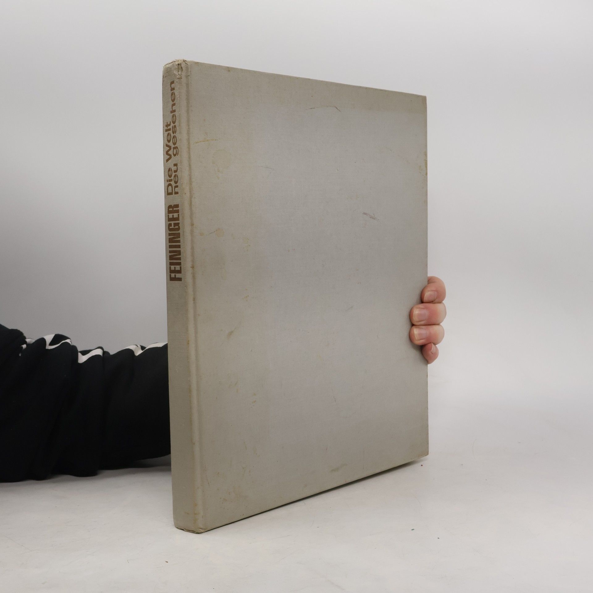 Lyonel Feininger Die welt neu gesehen