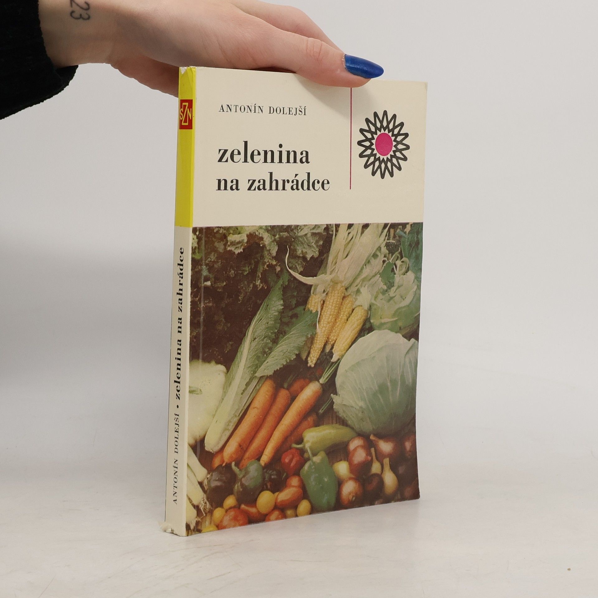 Zelenina na zahrádce