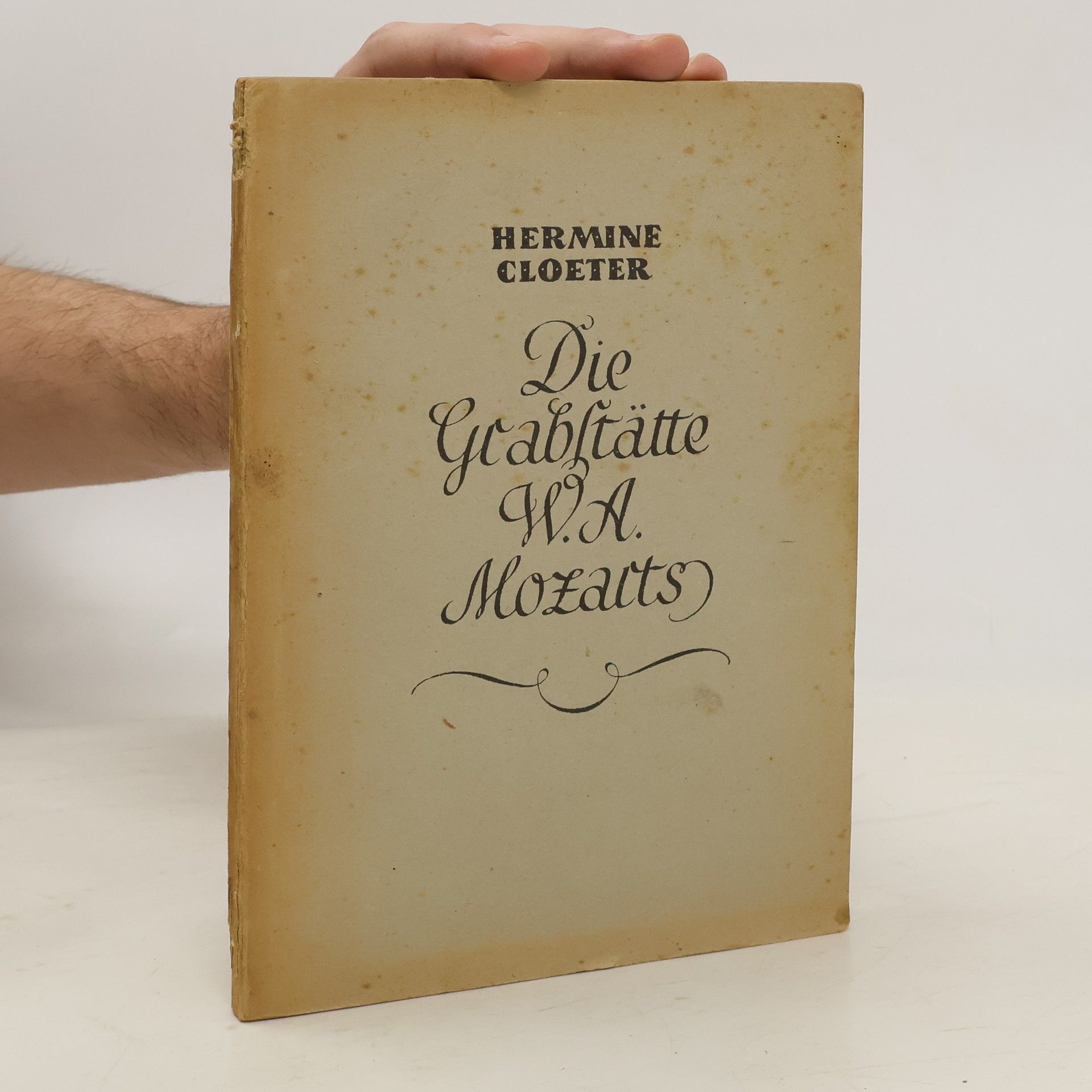 Die Grabstätte W. A. Mozarts auf dem St. Marxer Friedhof in Wien