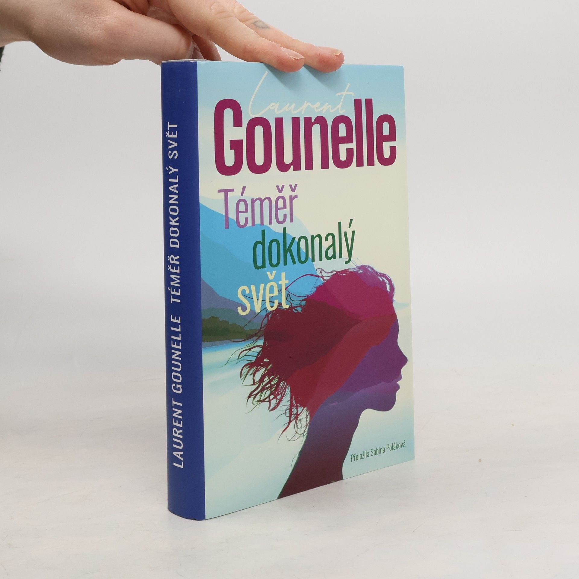 Téměř dokonalý svět