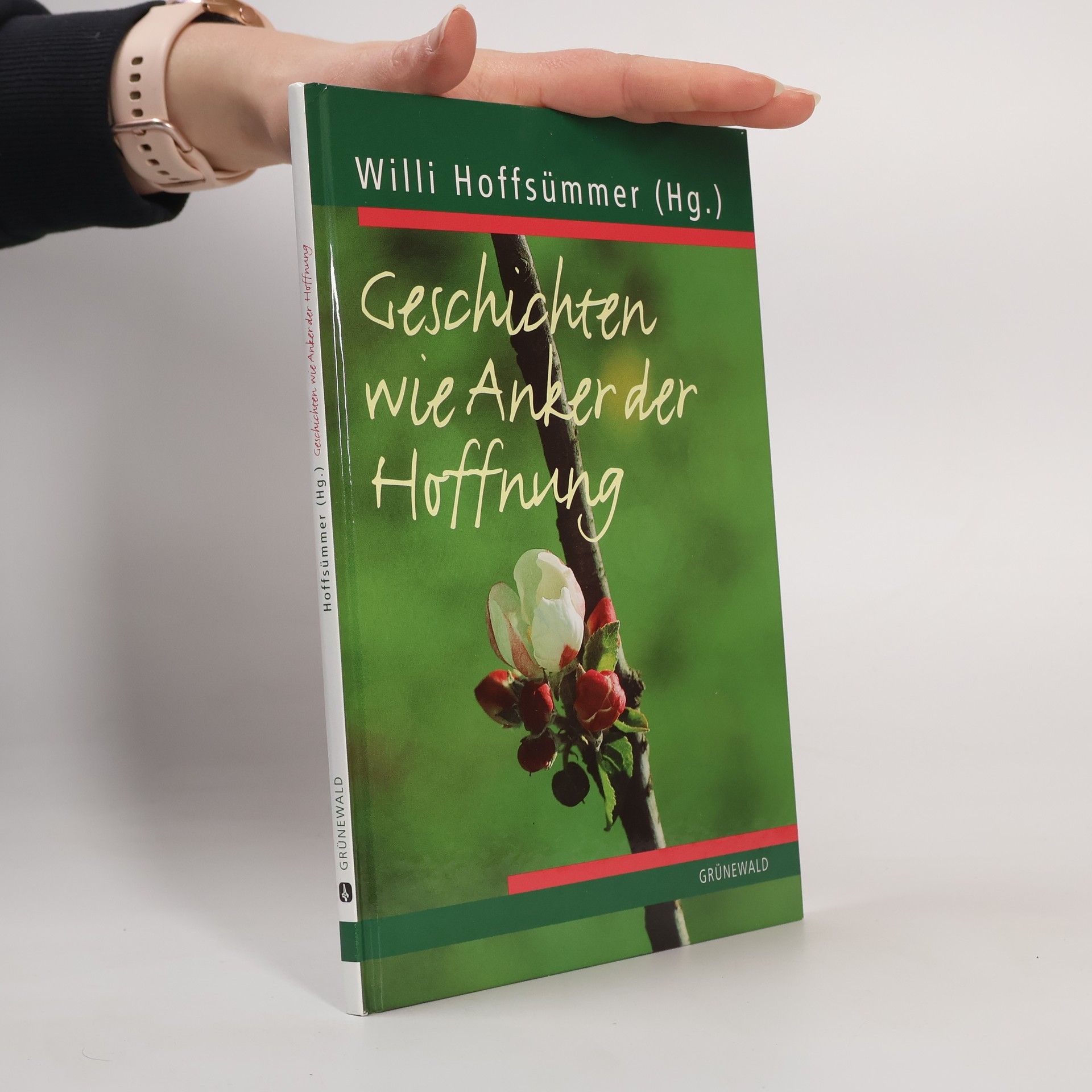 Willi Hoffsümmer Geschichten wie Anker der Hoffnung