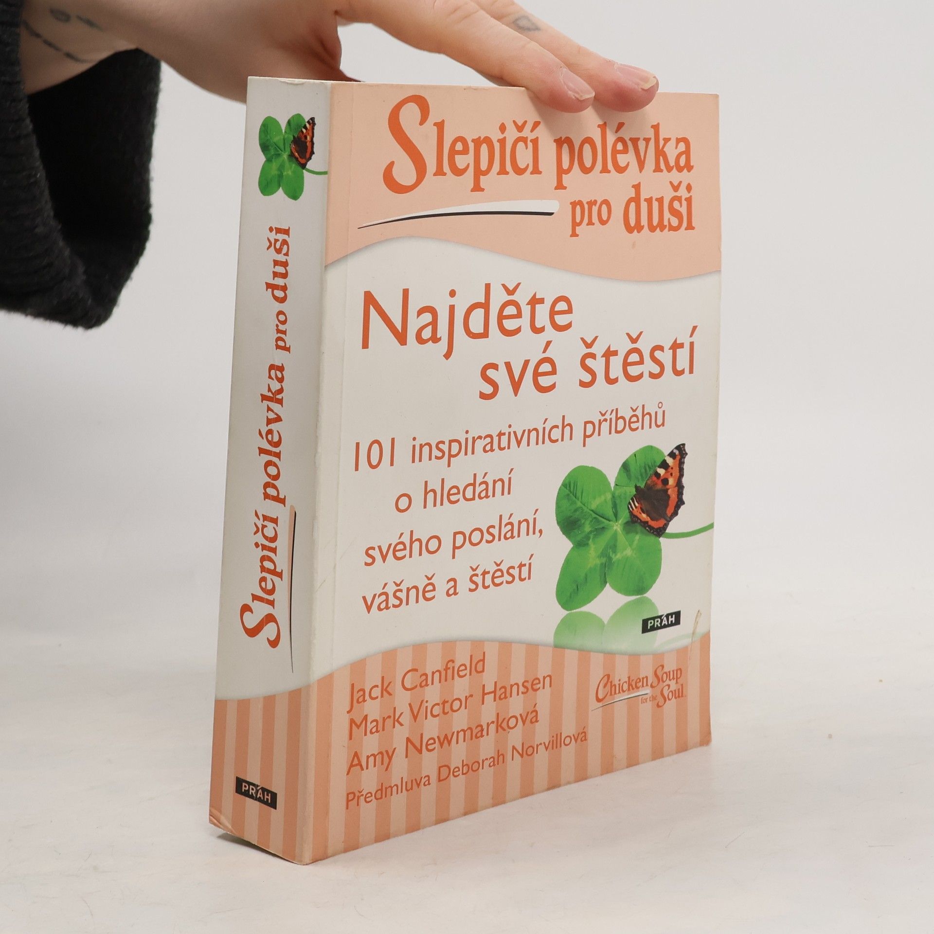 Slepičí polévka pro duši