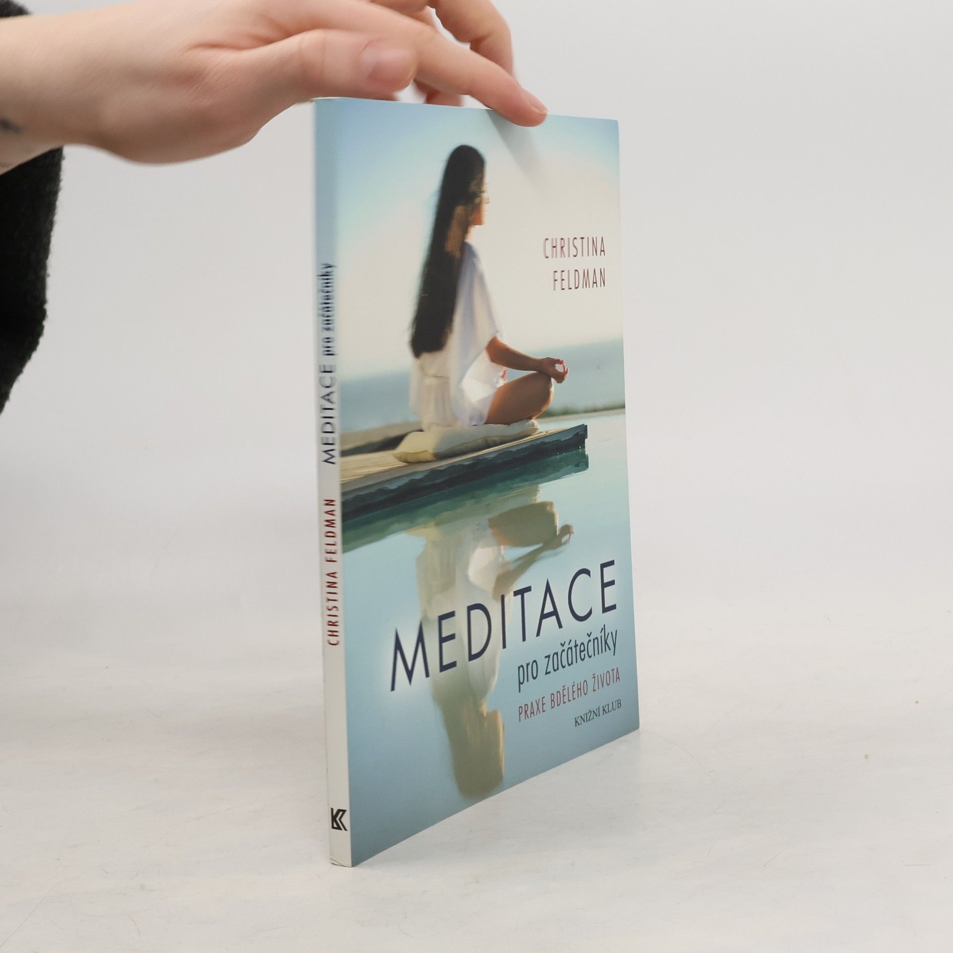 Christina Feldman Meditace pro začátečníky. Praxe bdělého života