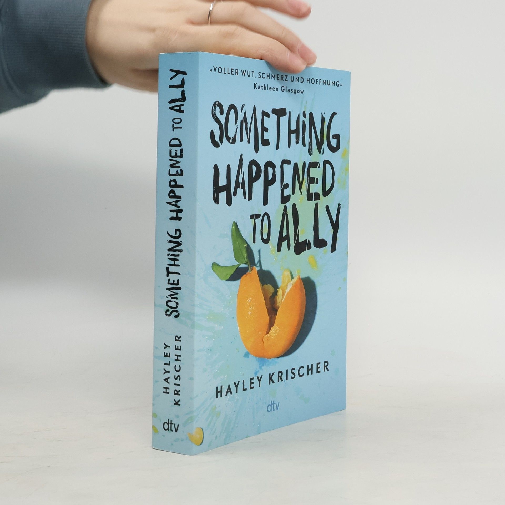 Hayley Krischer Something Happened to Ally