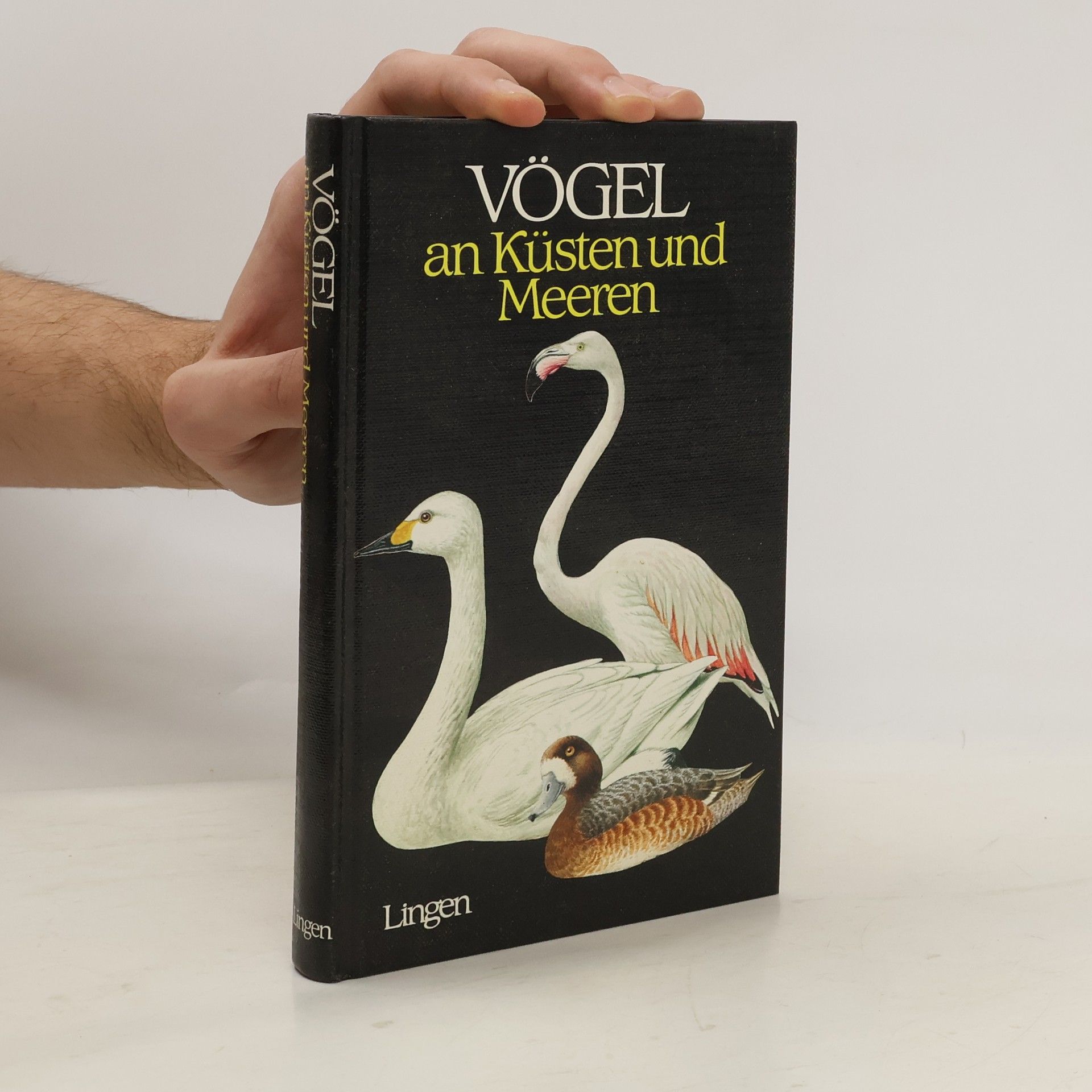 J. Felix Vögel an Küsten und Meeren