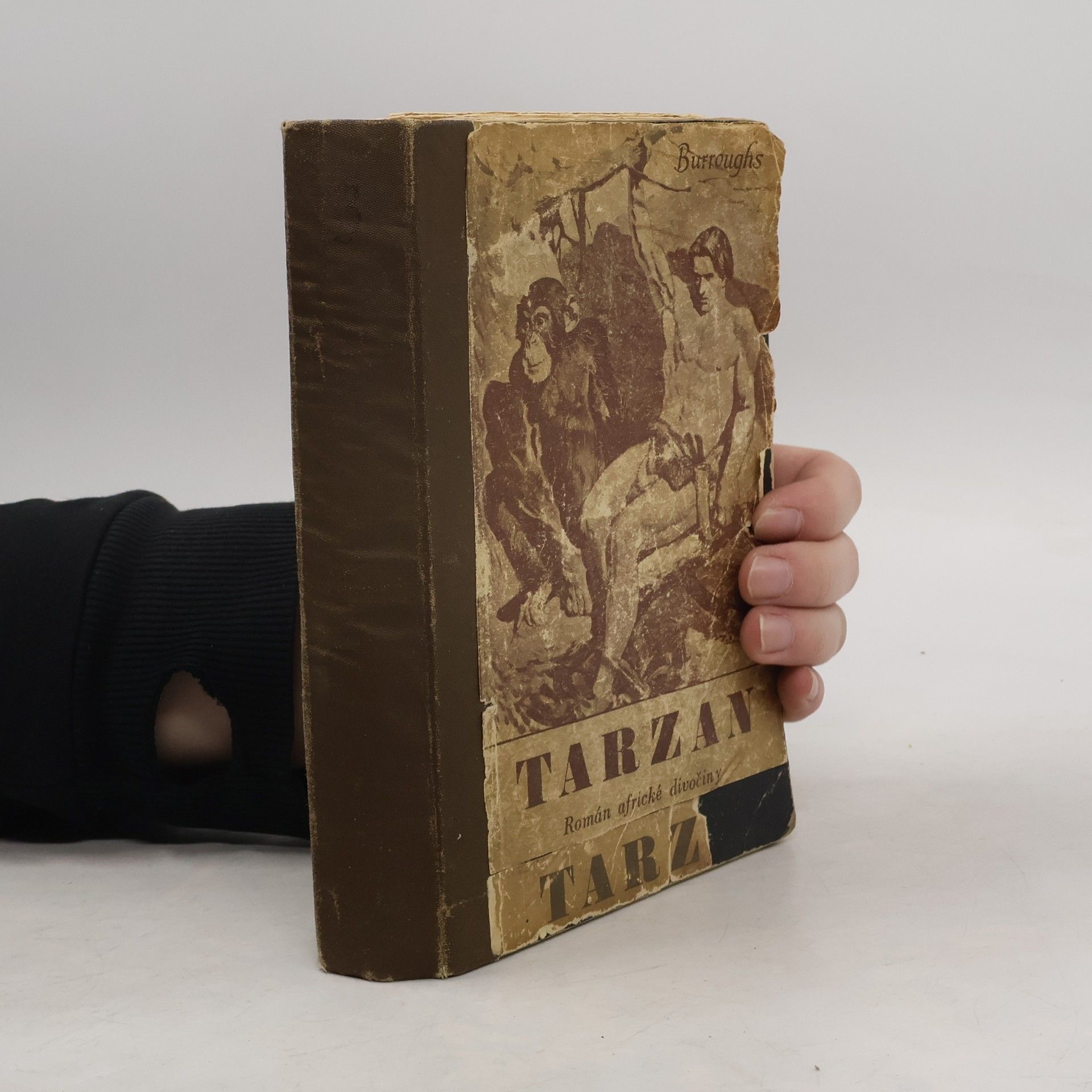 Edgar Rice Burroughs Tarzan