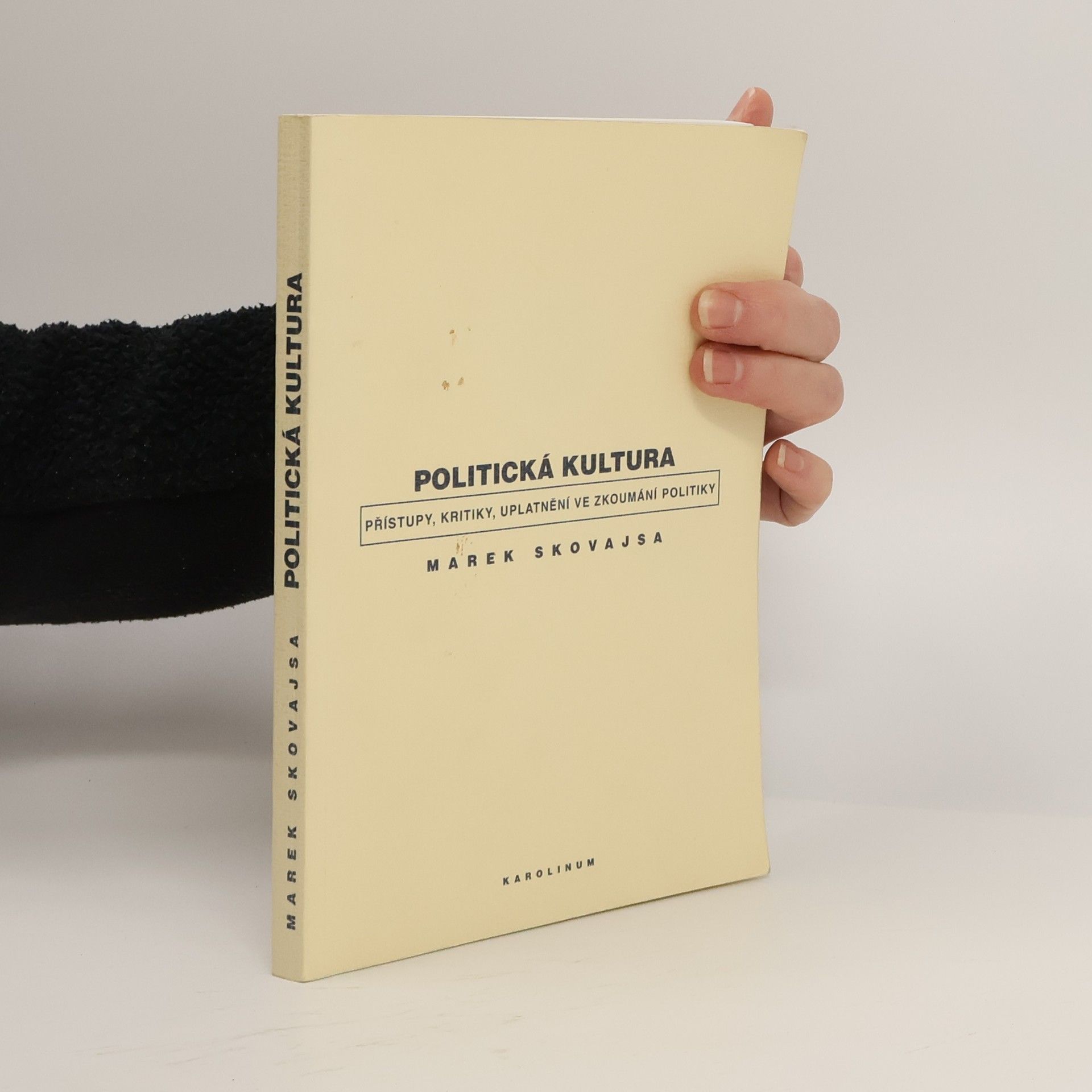 Politická kultura: Přístupy, kritiky, uplatnění ve zkoumání politiky