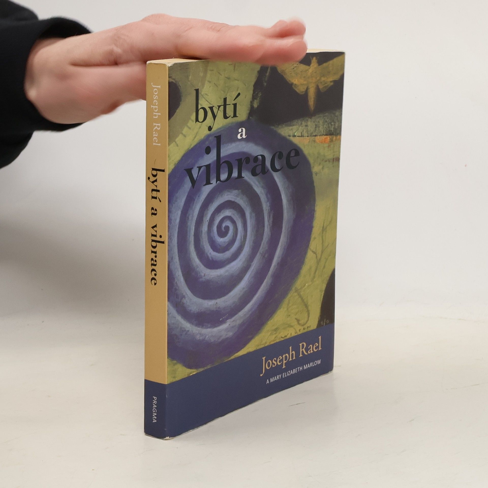 Joseph Rael Bytí a vibrace