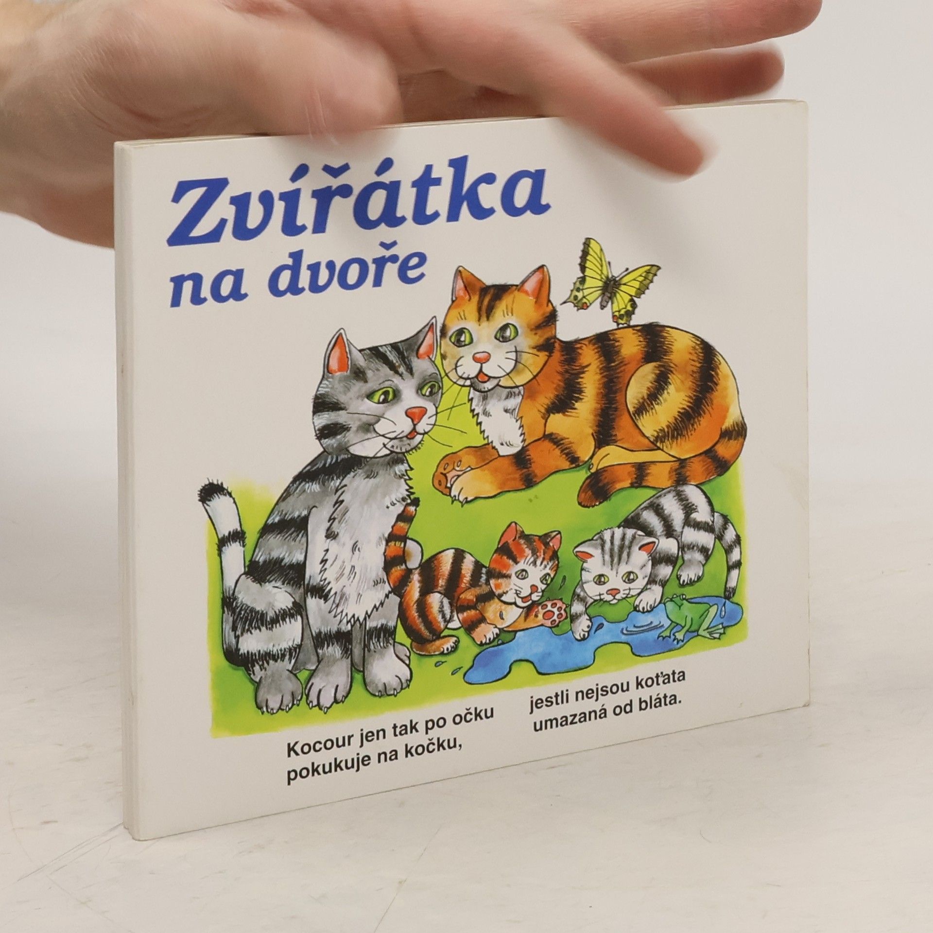 Zvířátka na dvoře