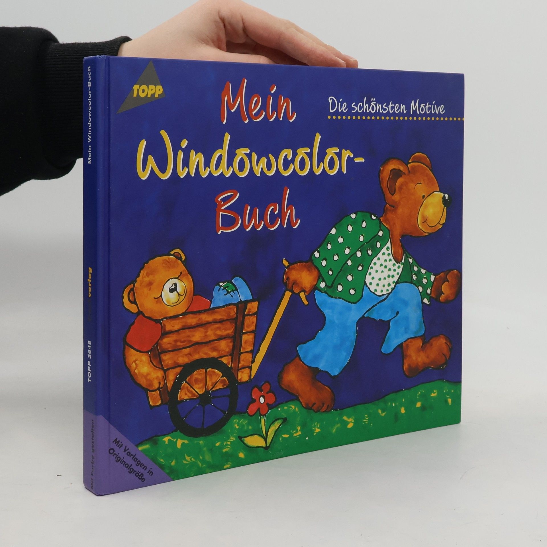 Collectif d'auteurs Mein Windowcolor-Buch
