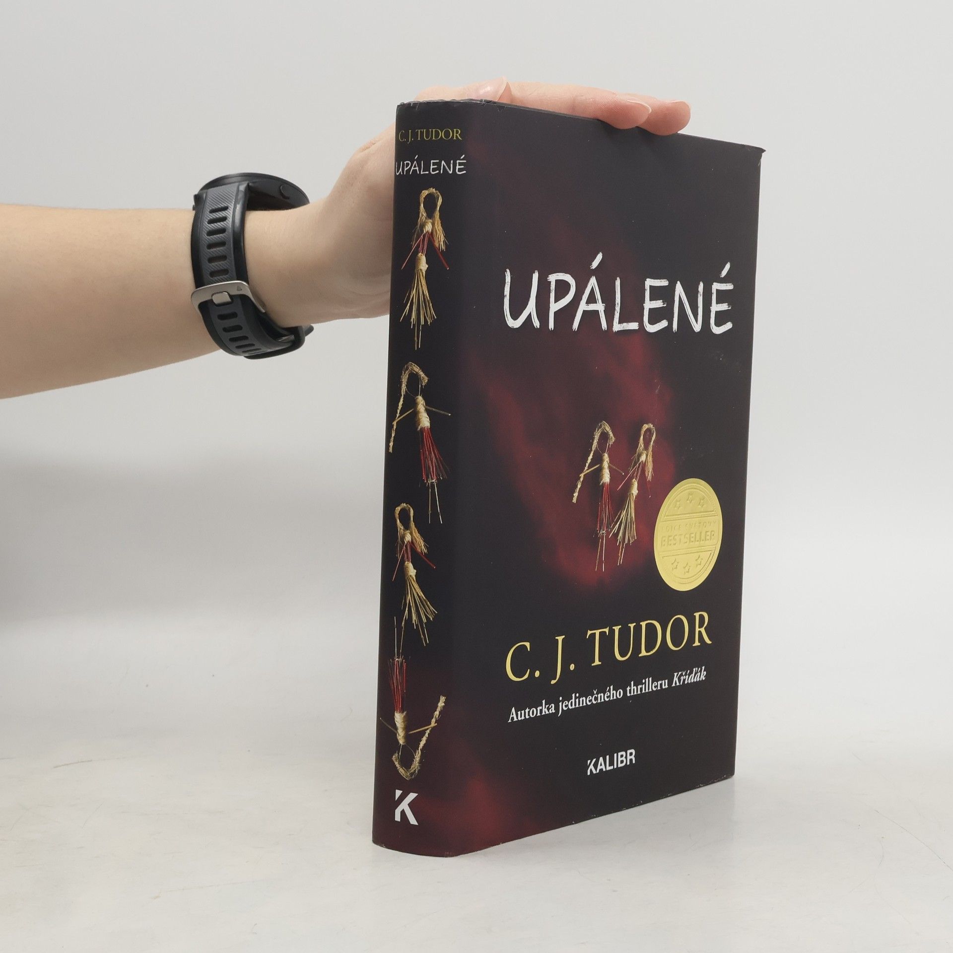 C. J. Tudor Upálené