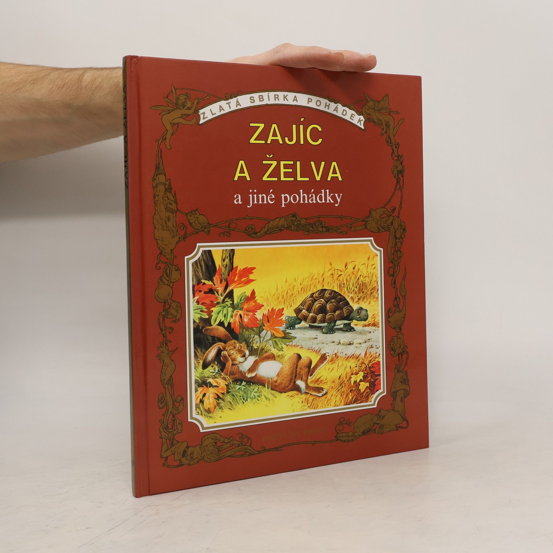 Autorenkollektiv Zajíc a želva a jiné pohádky